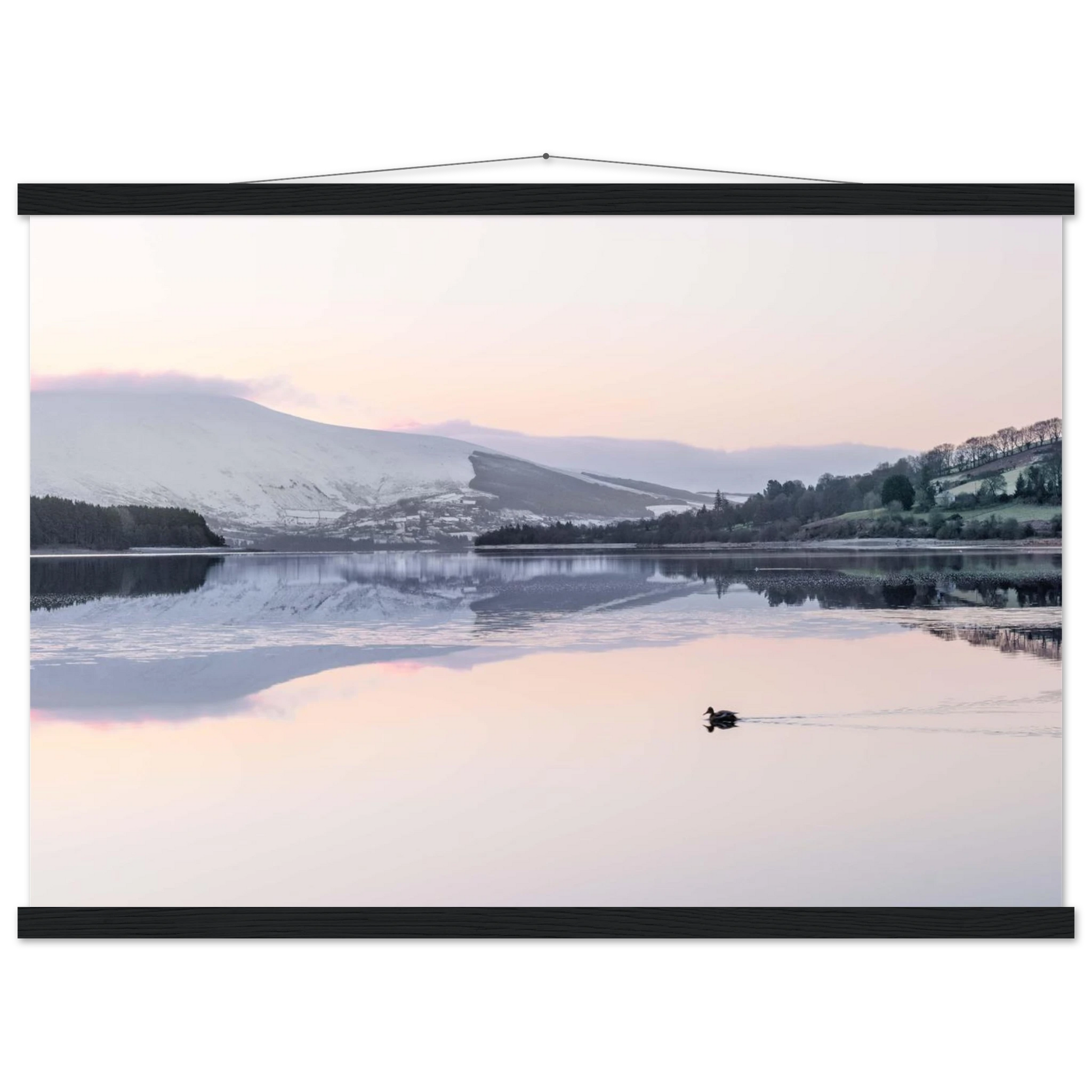 98d4cc74-ccda-4faf-98d8-164c3ea5d488