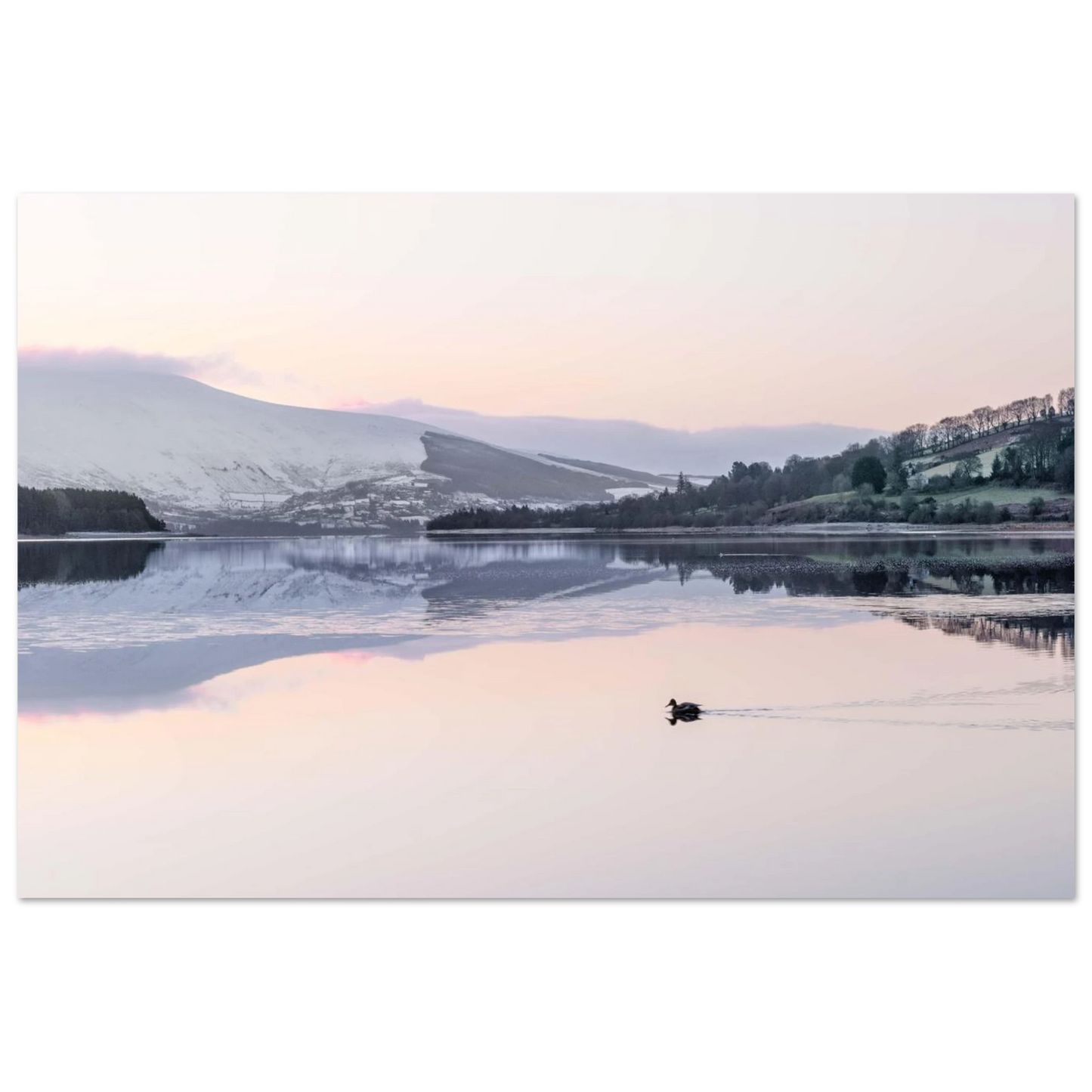 98db4acd-4310-4c58-ab32-297df375e266