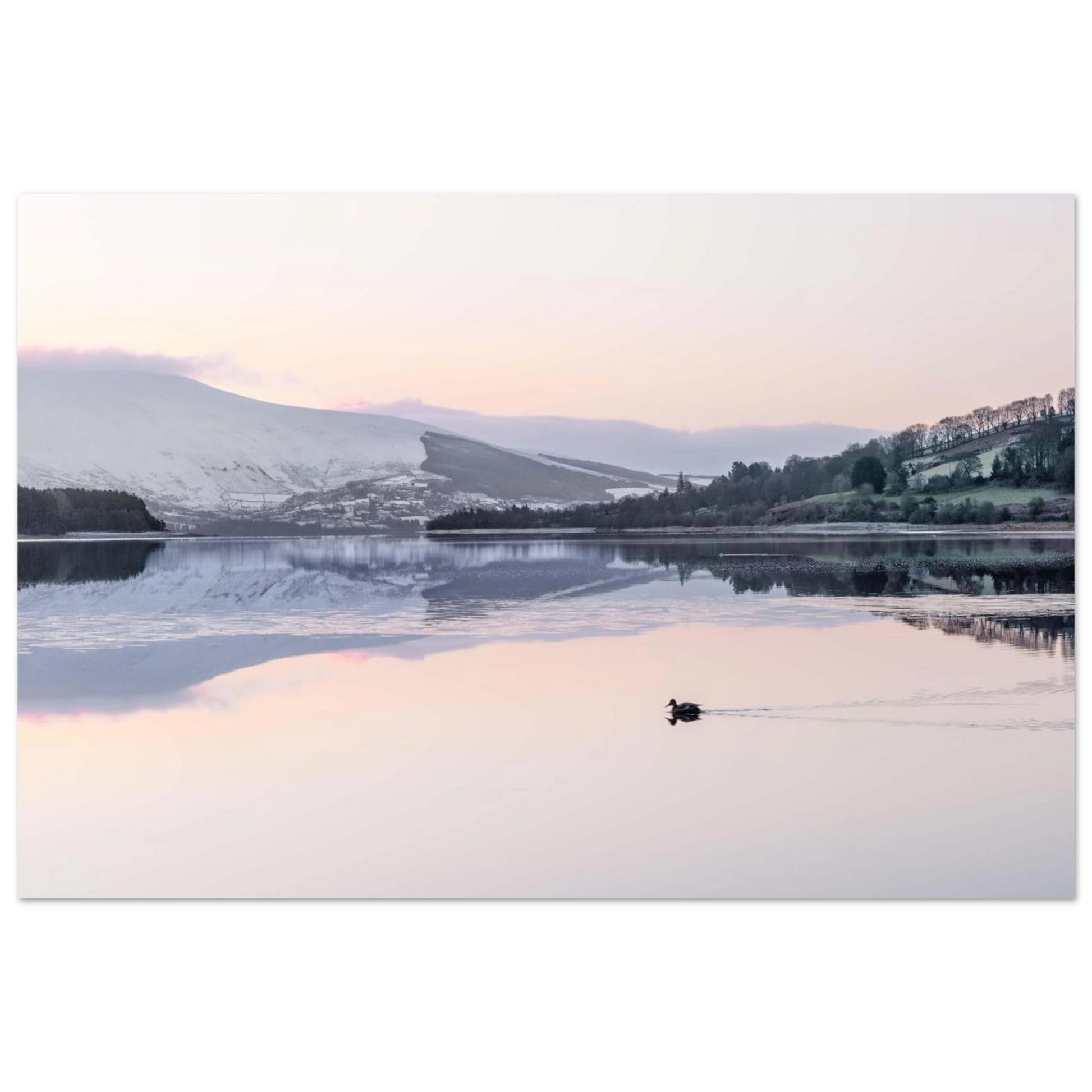 98db4acd-4310-4c58-ab32-297df375e266