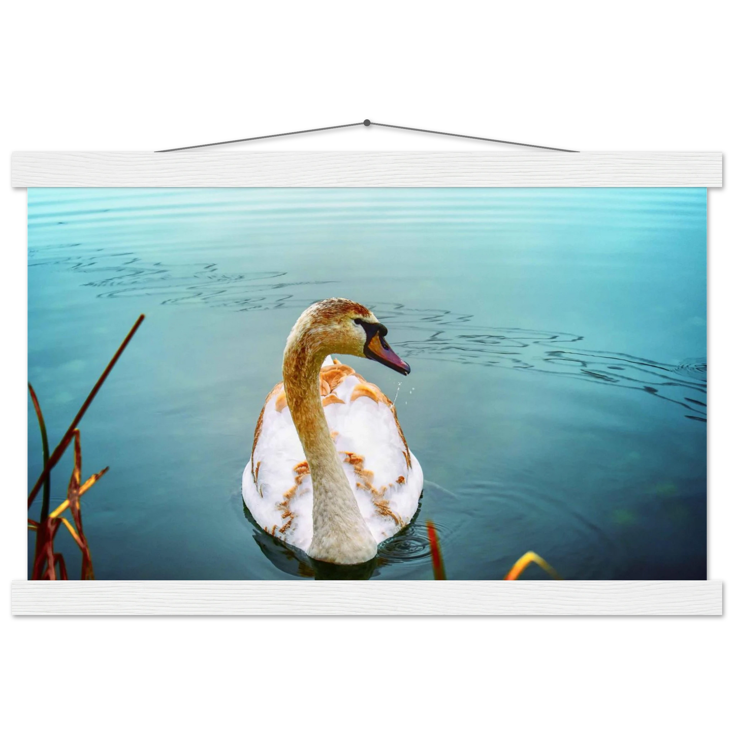 9908ab45-fa43-453a-a4a0-6b657de2b364