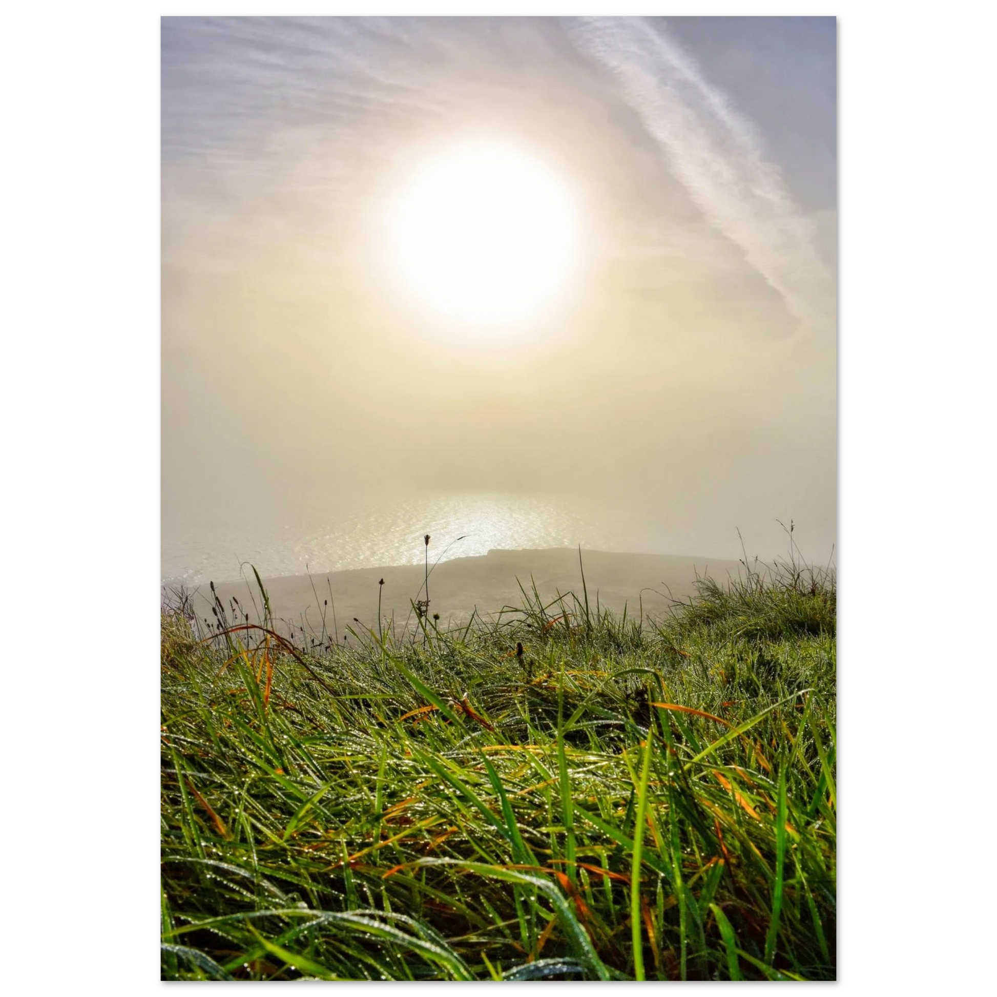 99290498-ebe3-401c-a316-265ea0435e43