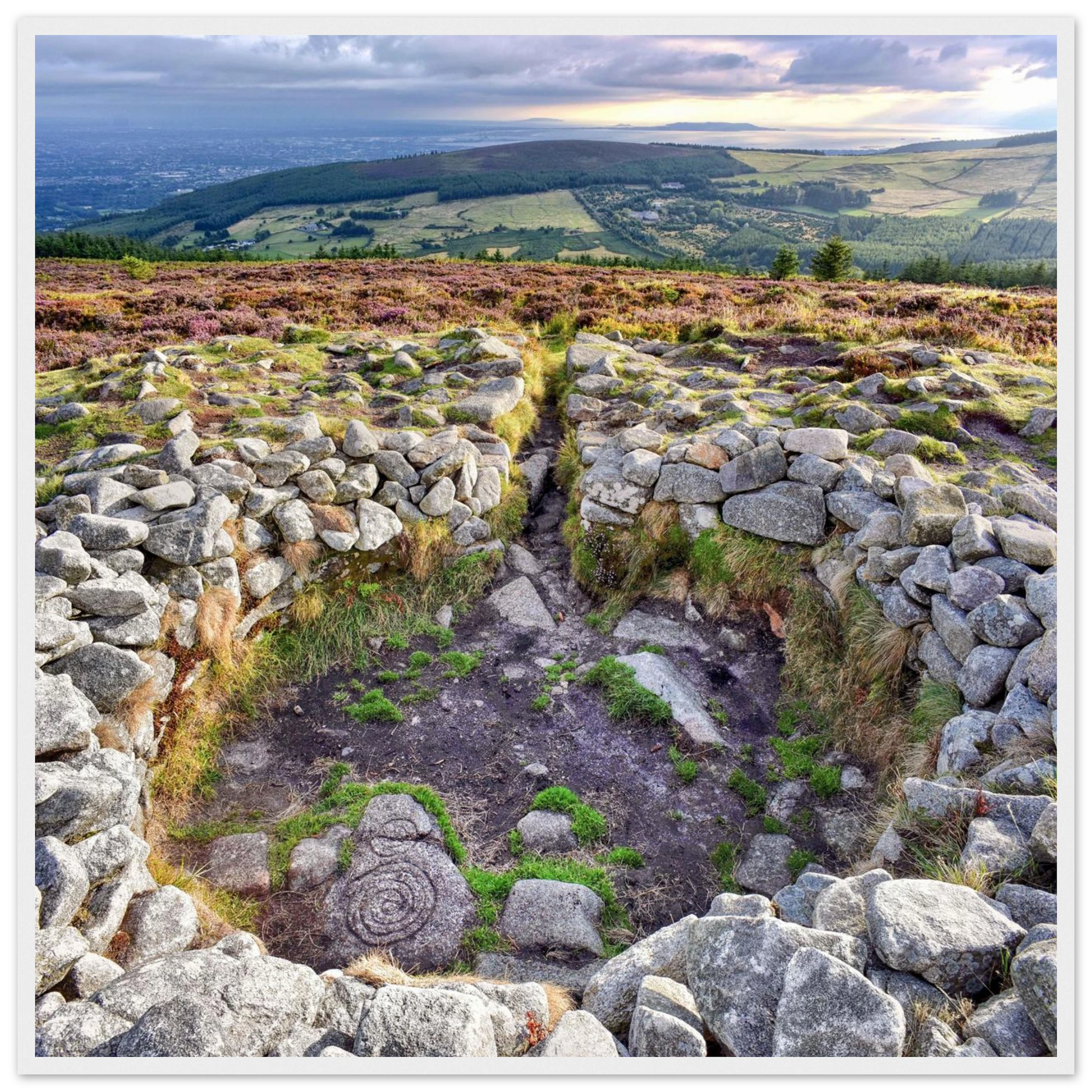 995152ae-b204-4c71-8e58-cd7754ff37f3