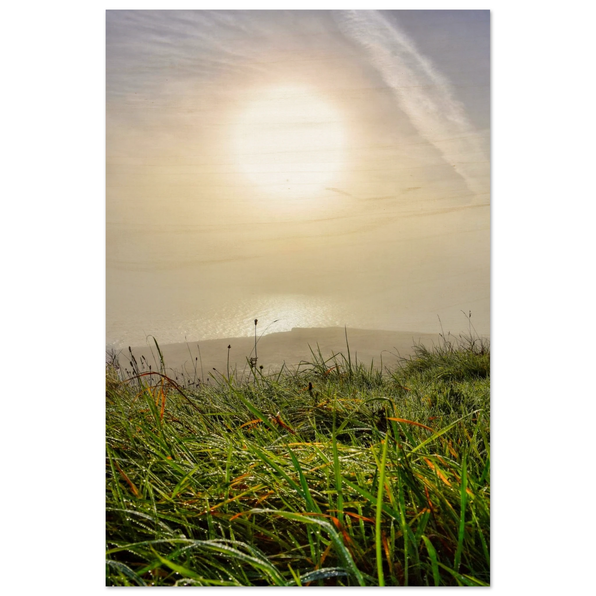 99599e64-7072-488d-8af5-dc7fba94e346