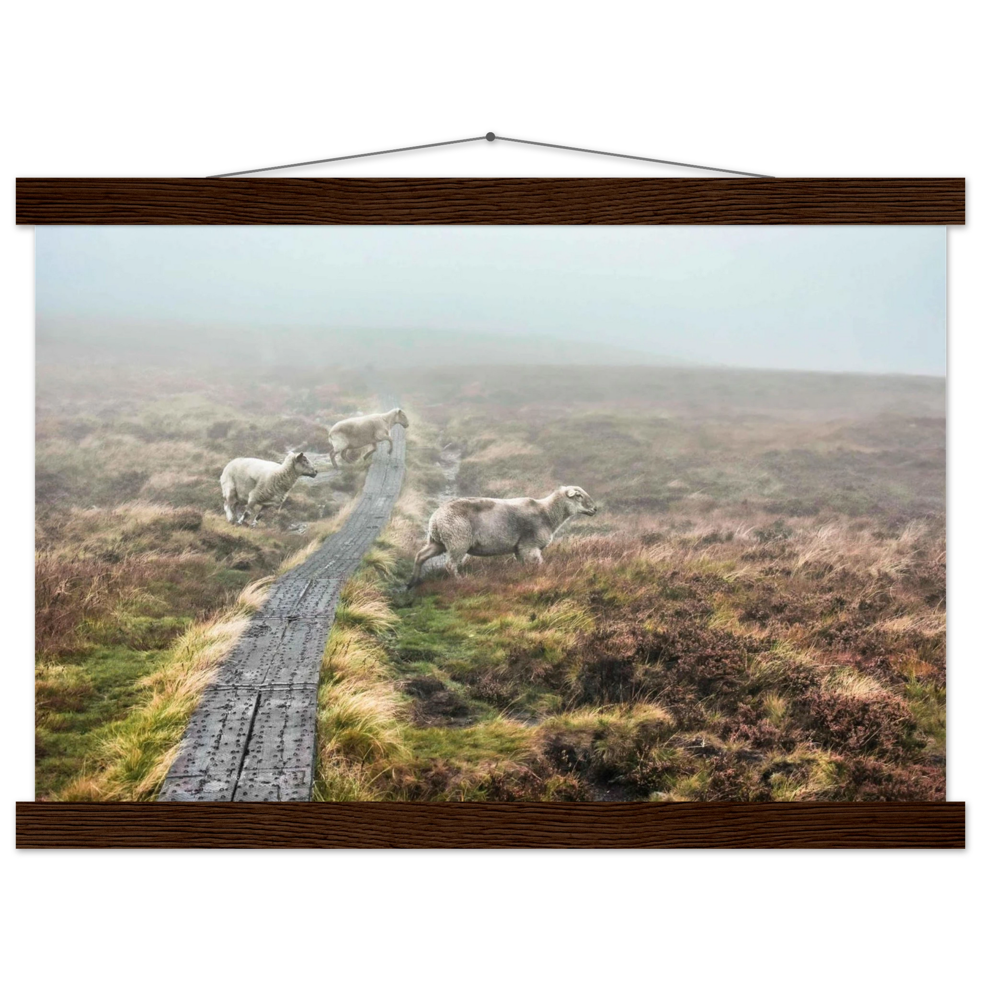 995e07c1-834a-4f44-b24c-a41a6214eb8c