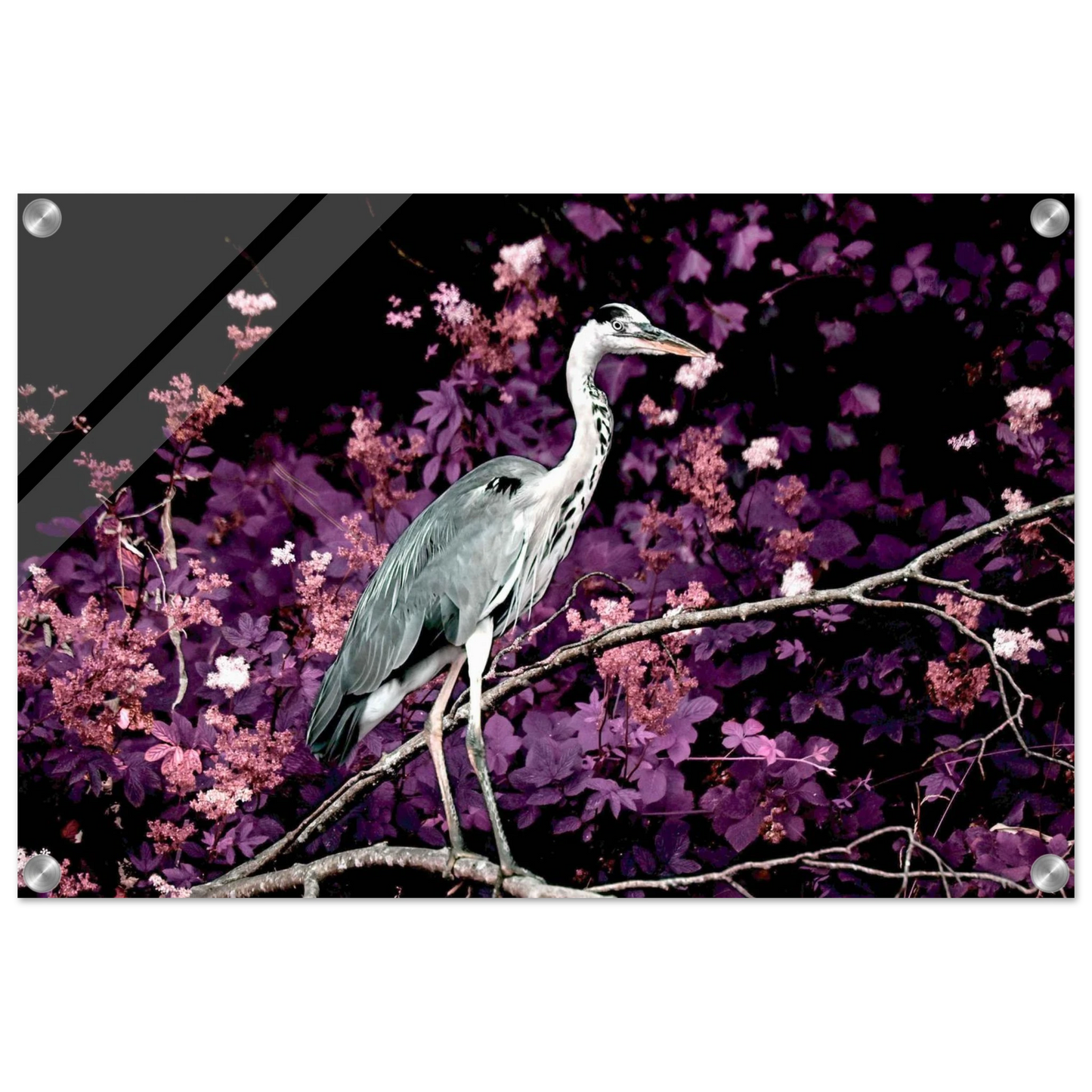 99618814-ae8d-46e8-862c-7464fa5cde40