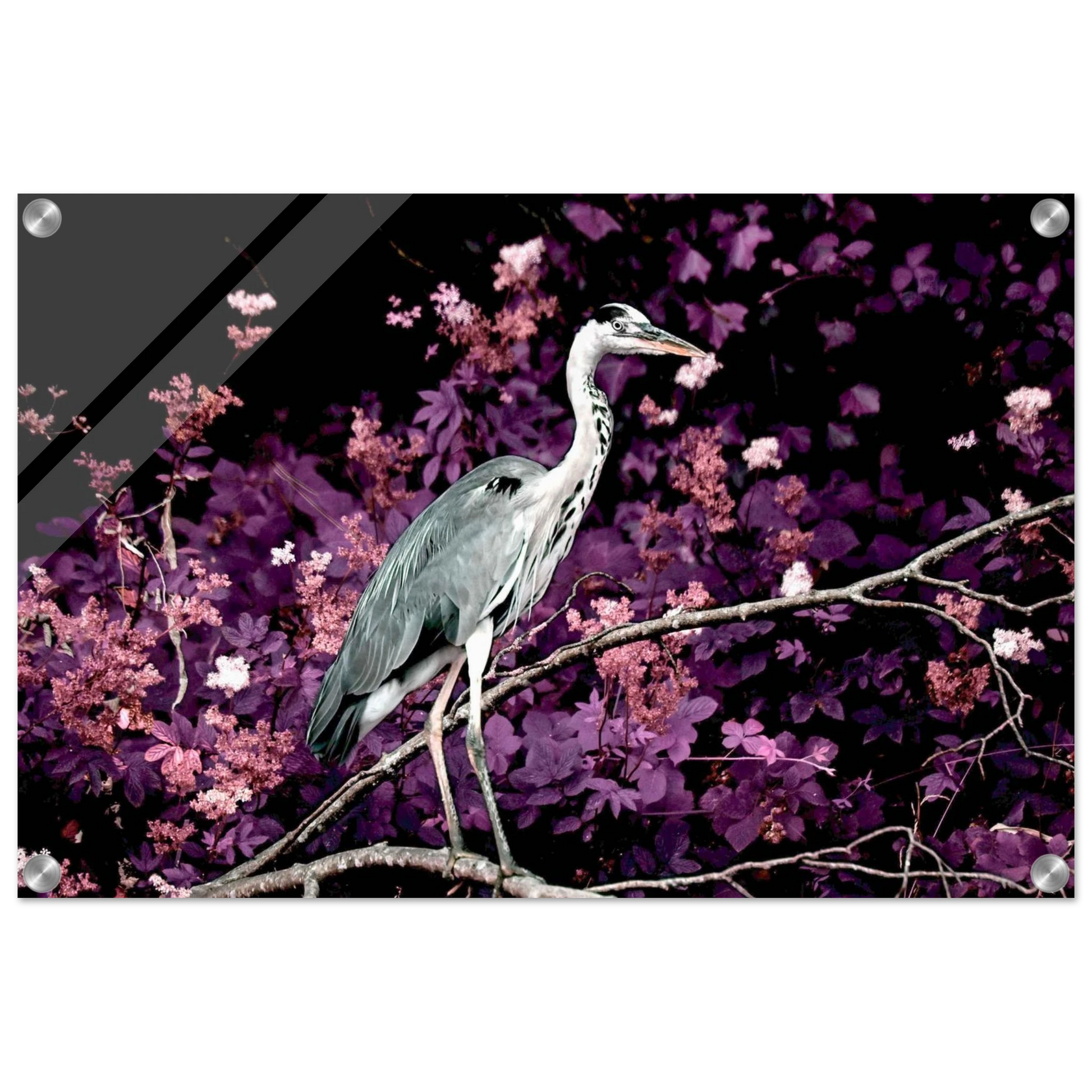 99618814-ae8d-46e8-862c-7464fa5cde40