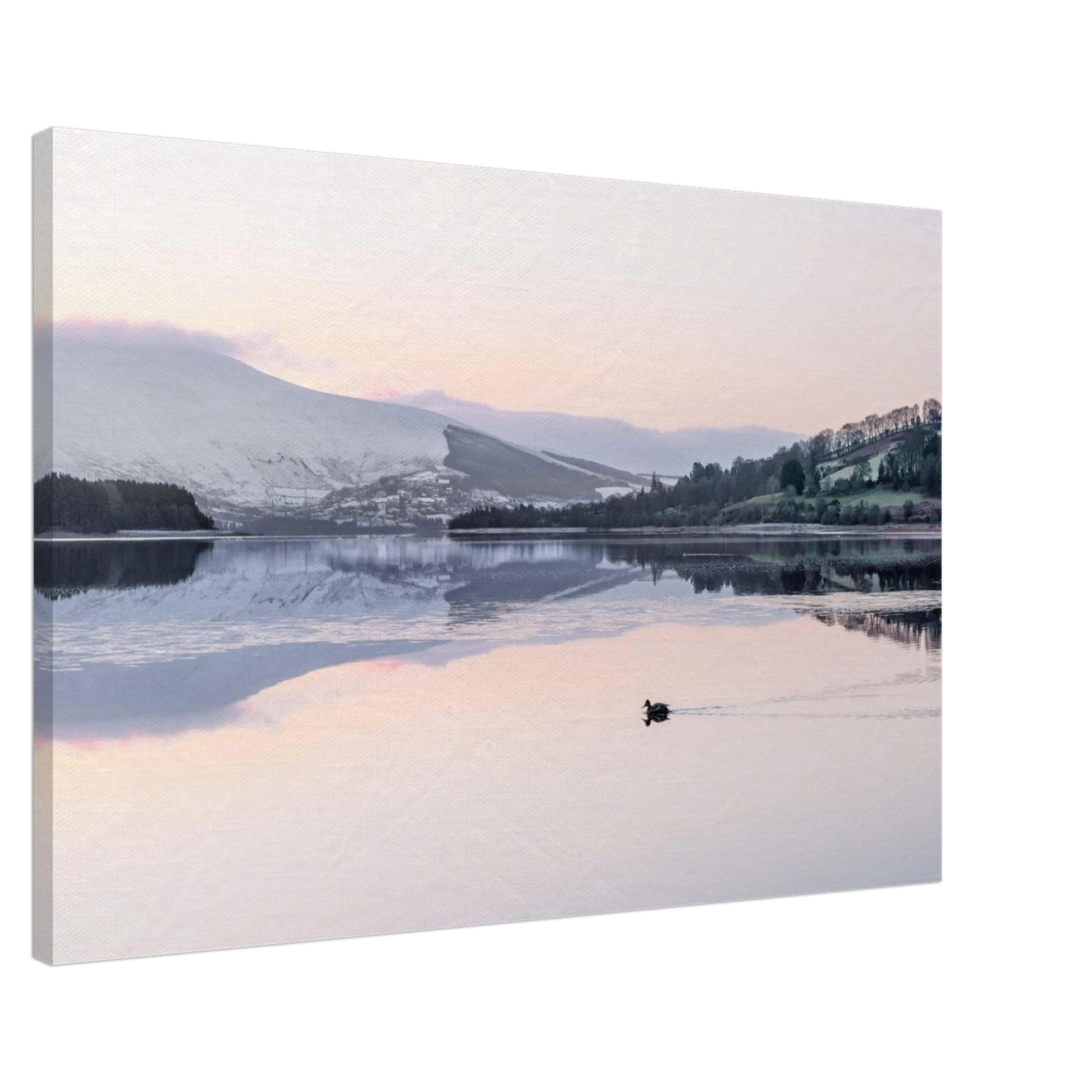 997243ce-4c4a-4fa9-ab62-f9e2e79ea153