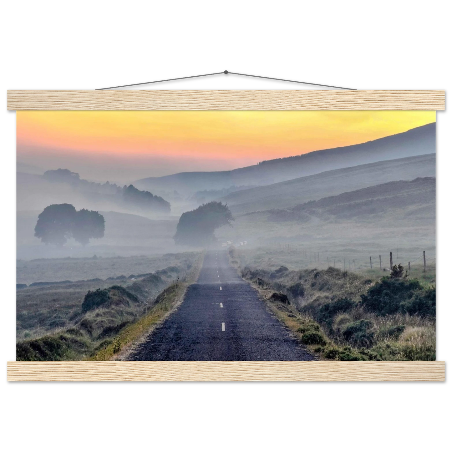 9973f5e0-f0a0-4efb-bcba-8862d43c5770