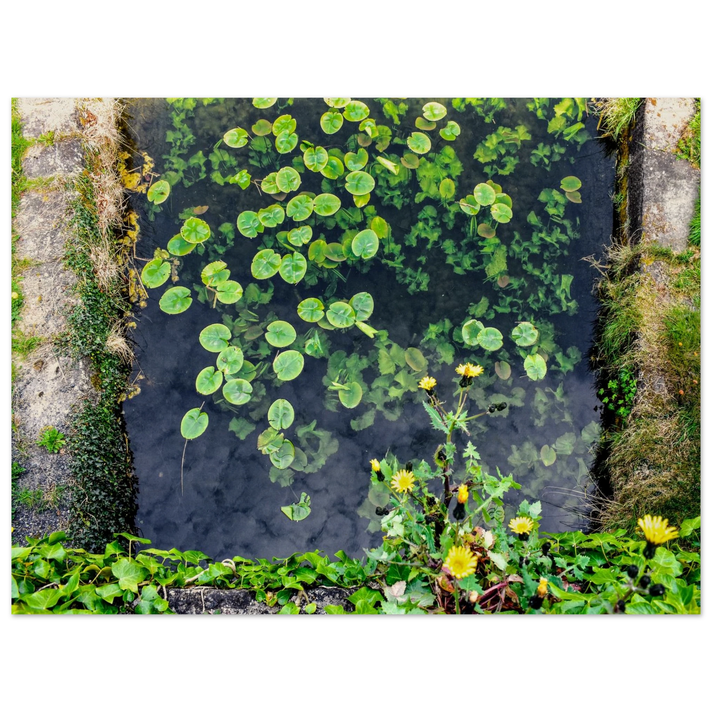 99c79821-3674-47f2-a501-833b79651400