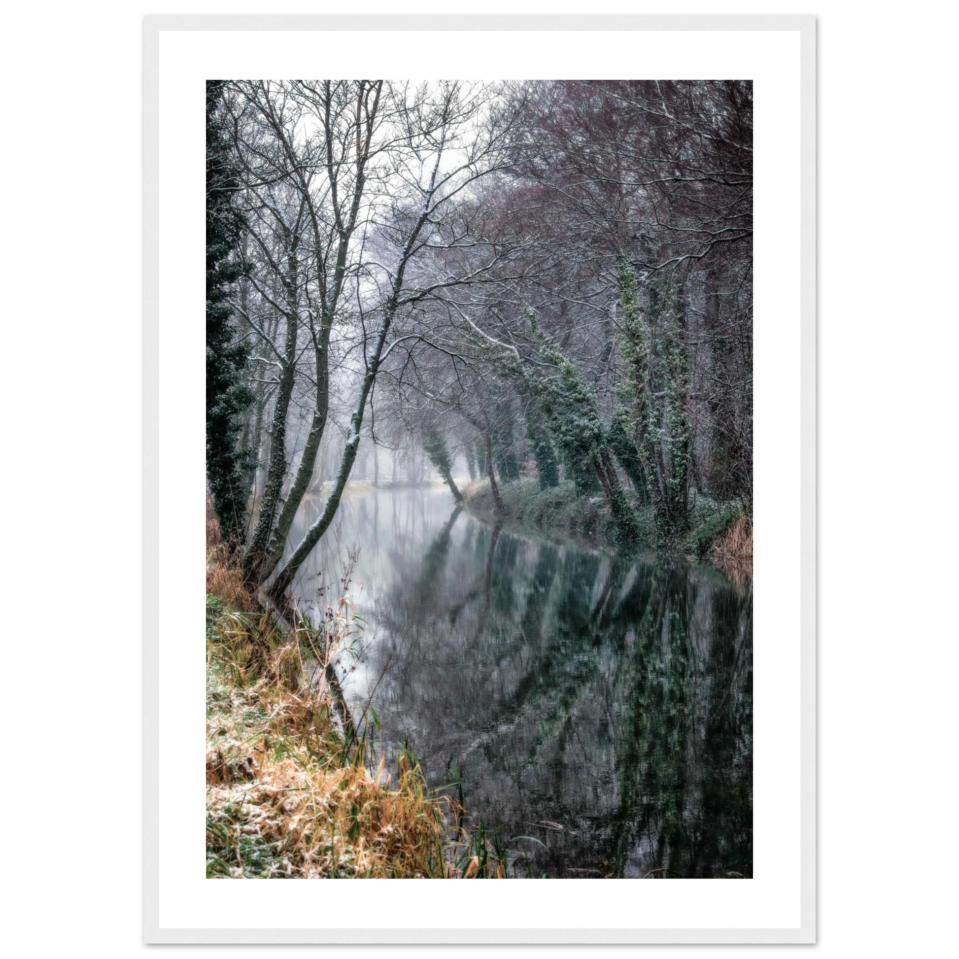 9a210056-4254-4a25-89cd-a7552f15864f