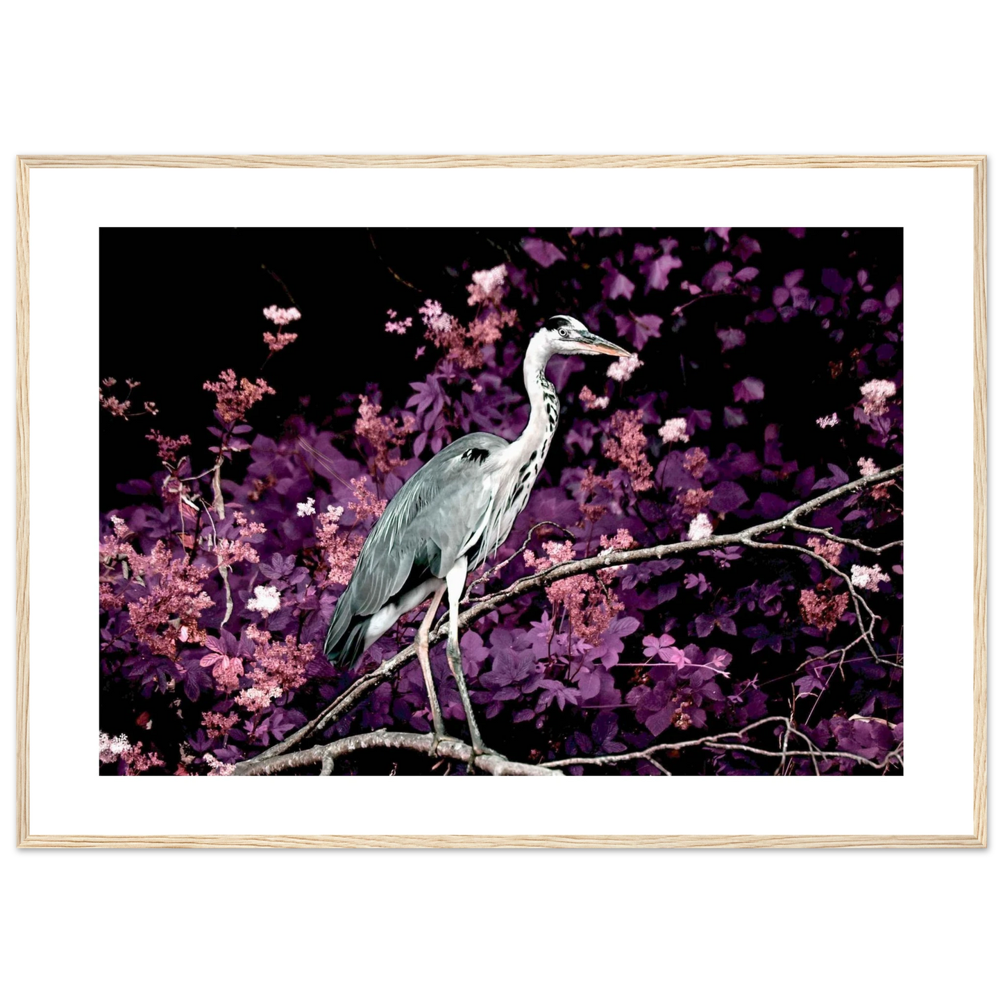 9a32e566-f7e8-4083-8e37-07a84b0e58a5