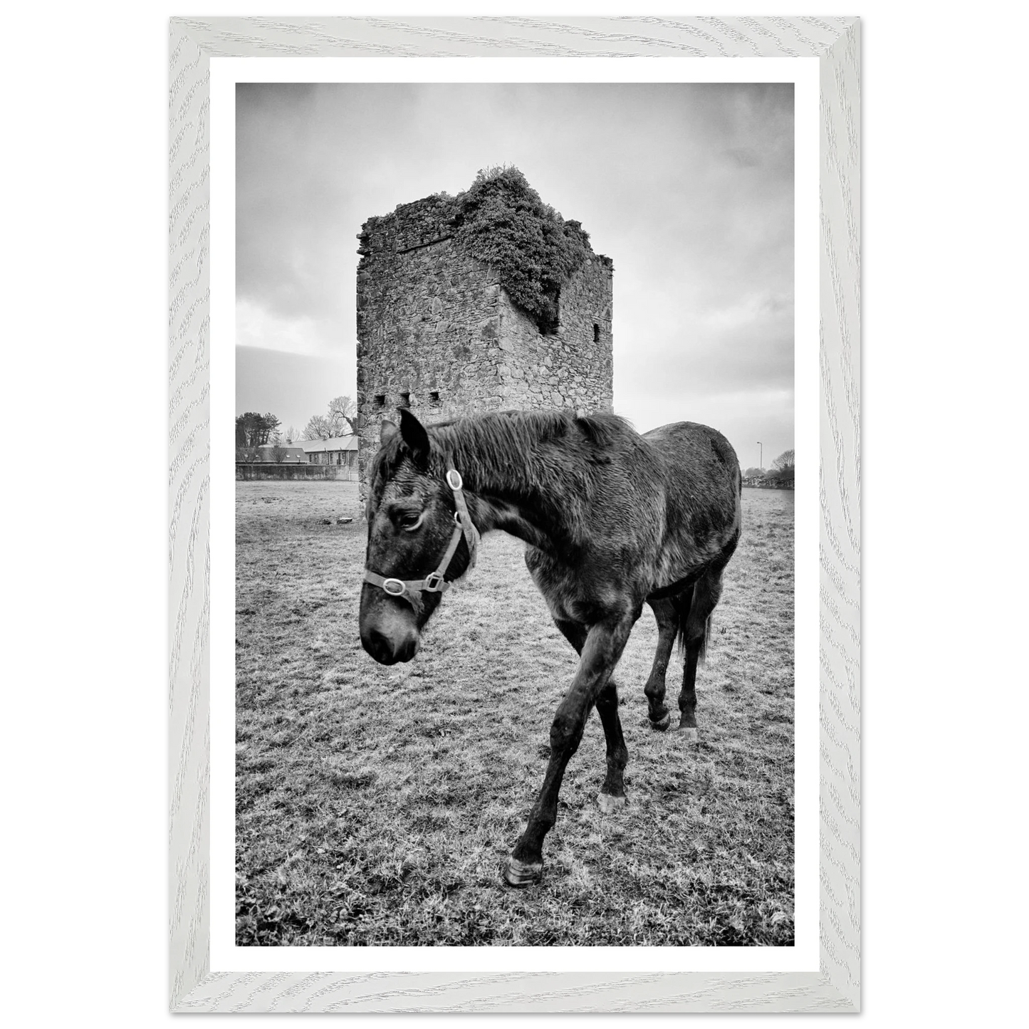 9a4898da-af8d-414d-9bb1-313680cdc478