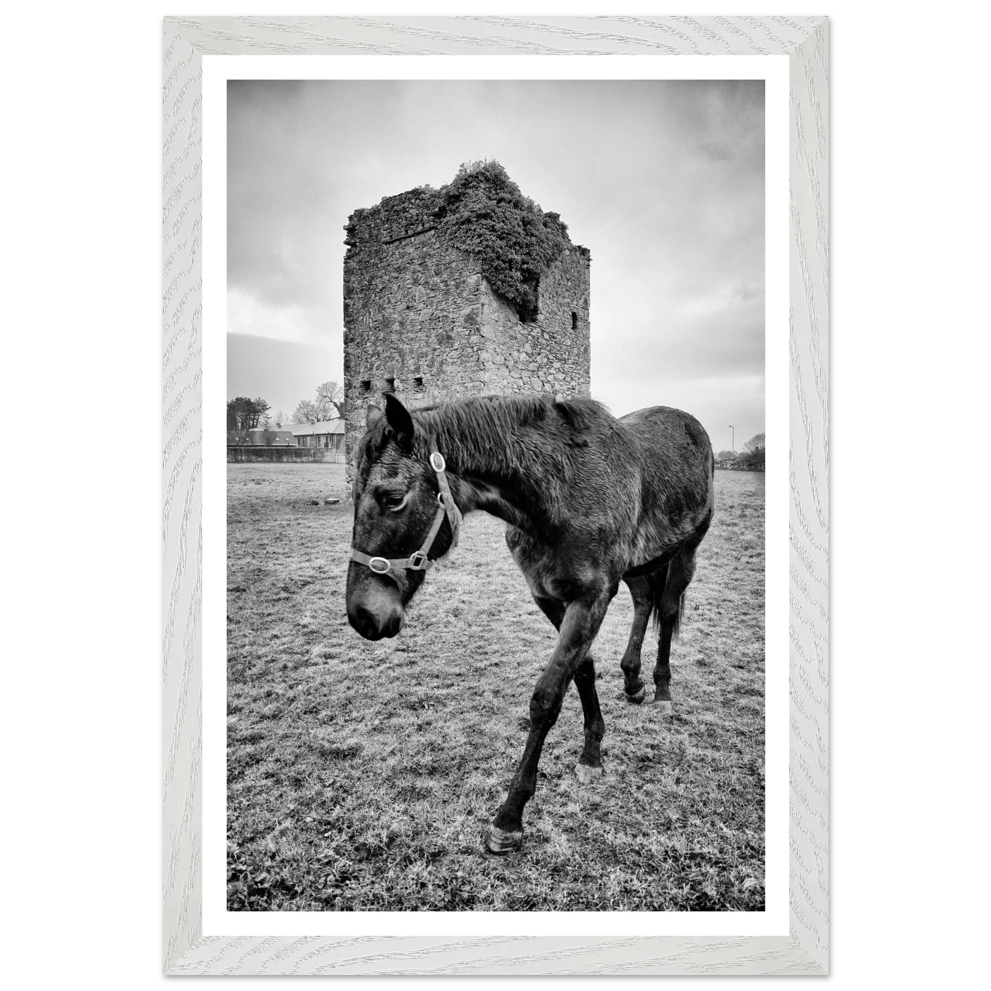 9a4898da-af8d-414d-9bb1-313680cdc478