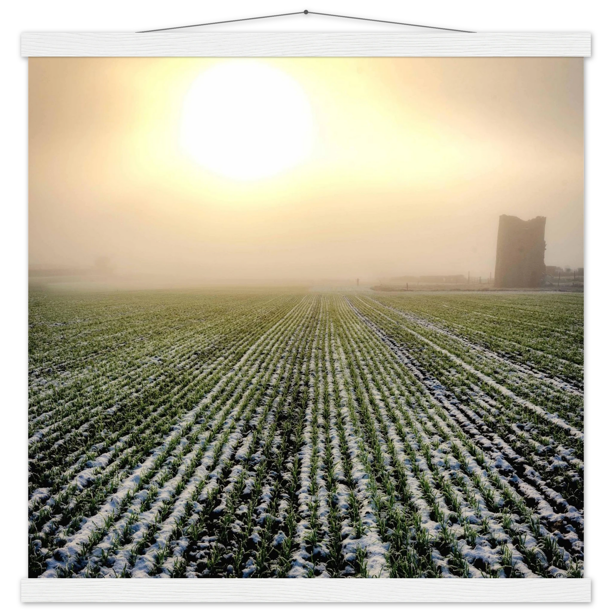 9a81bd86-0626-4889-9c12-a0c85a5c34a1