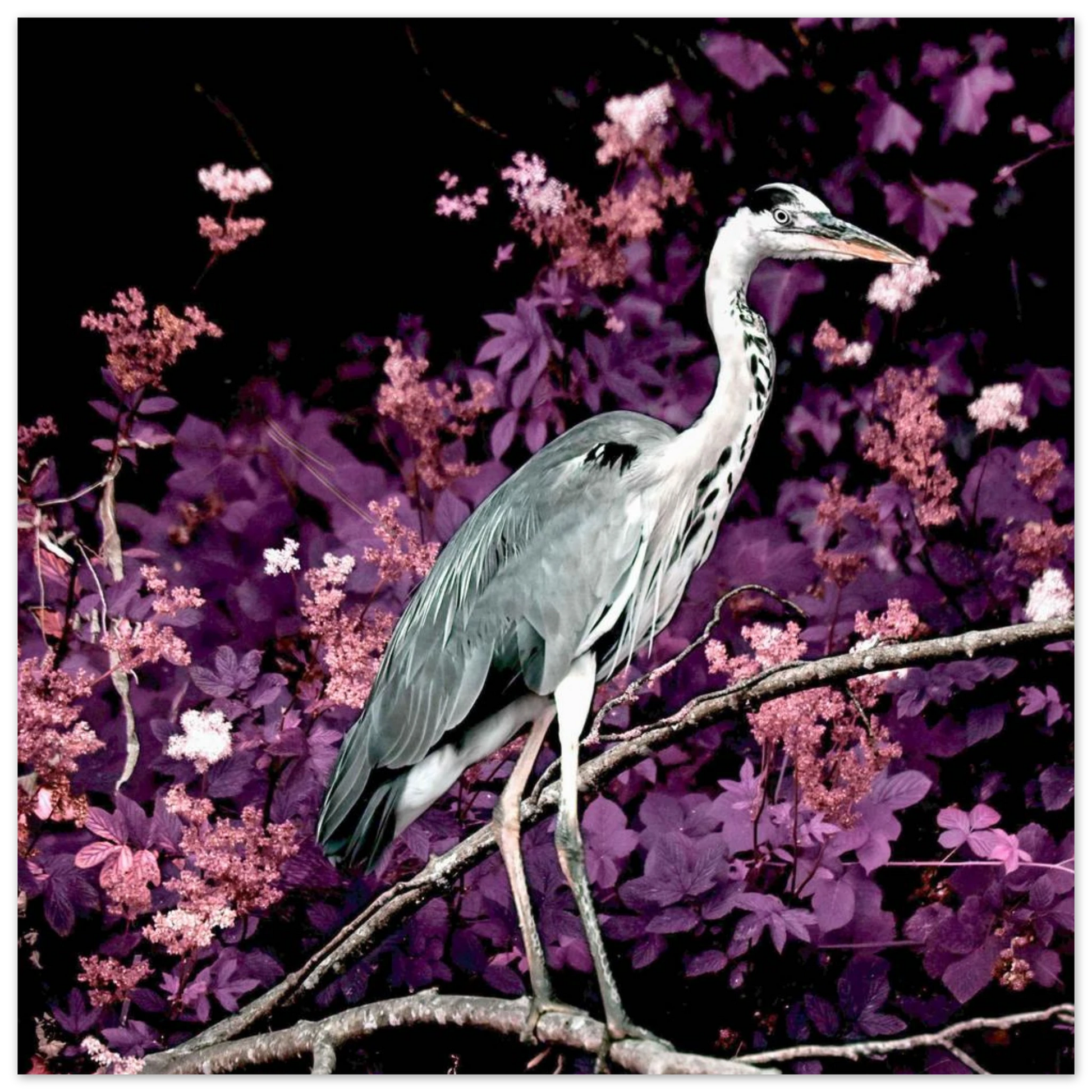 9ac9bc84-1bac-4626-8d88-9651e6307d3e