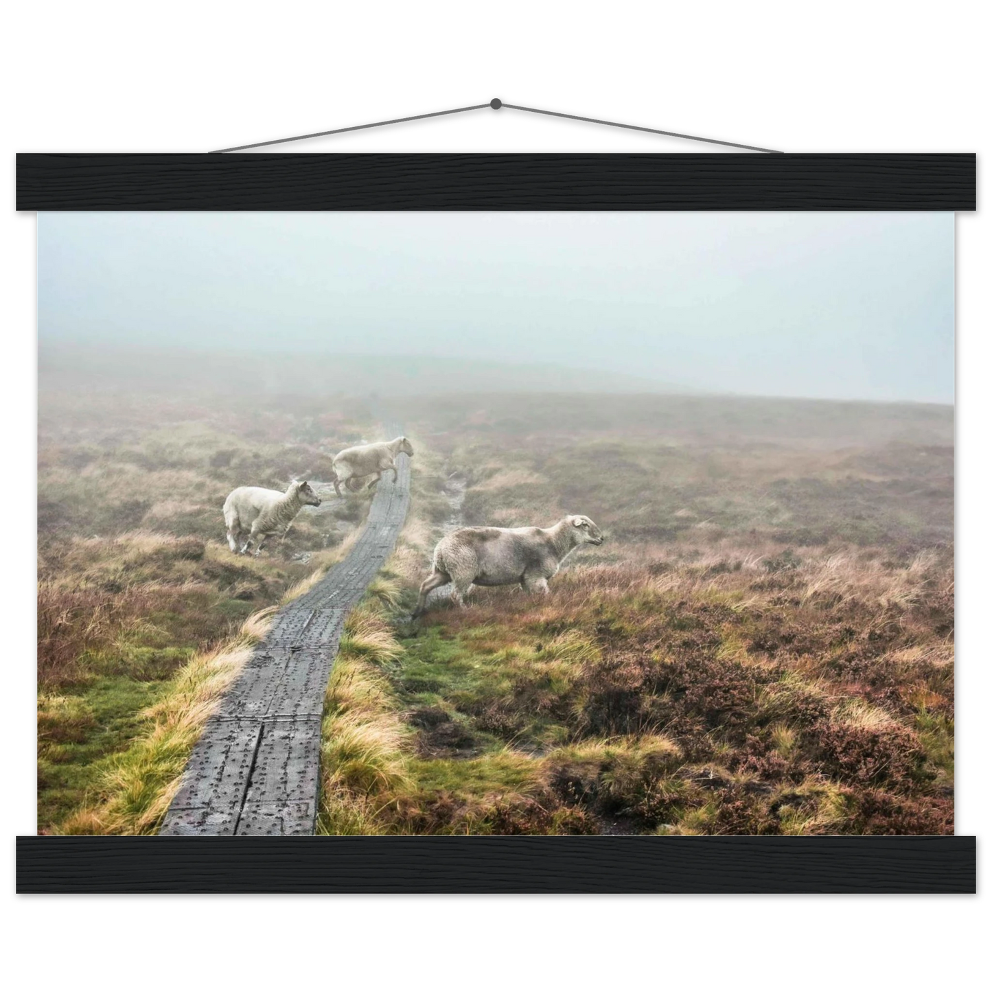 9b0938ad-02c4-42bd-9247-039fed03dcc7