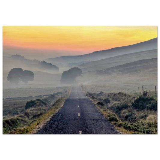 9b16907a-5a8e-4692-93d5-3d56e57246ab