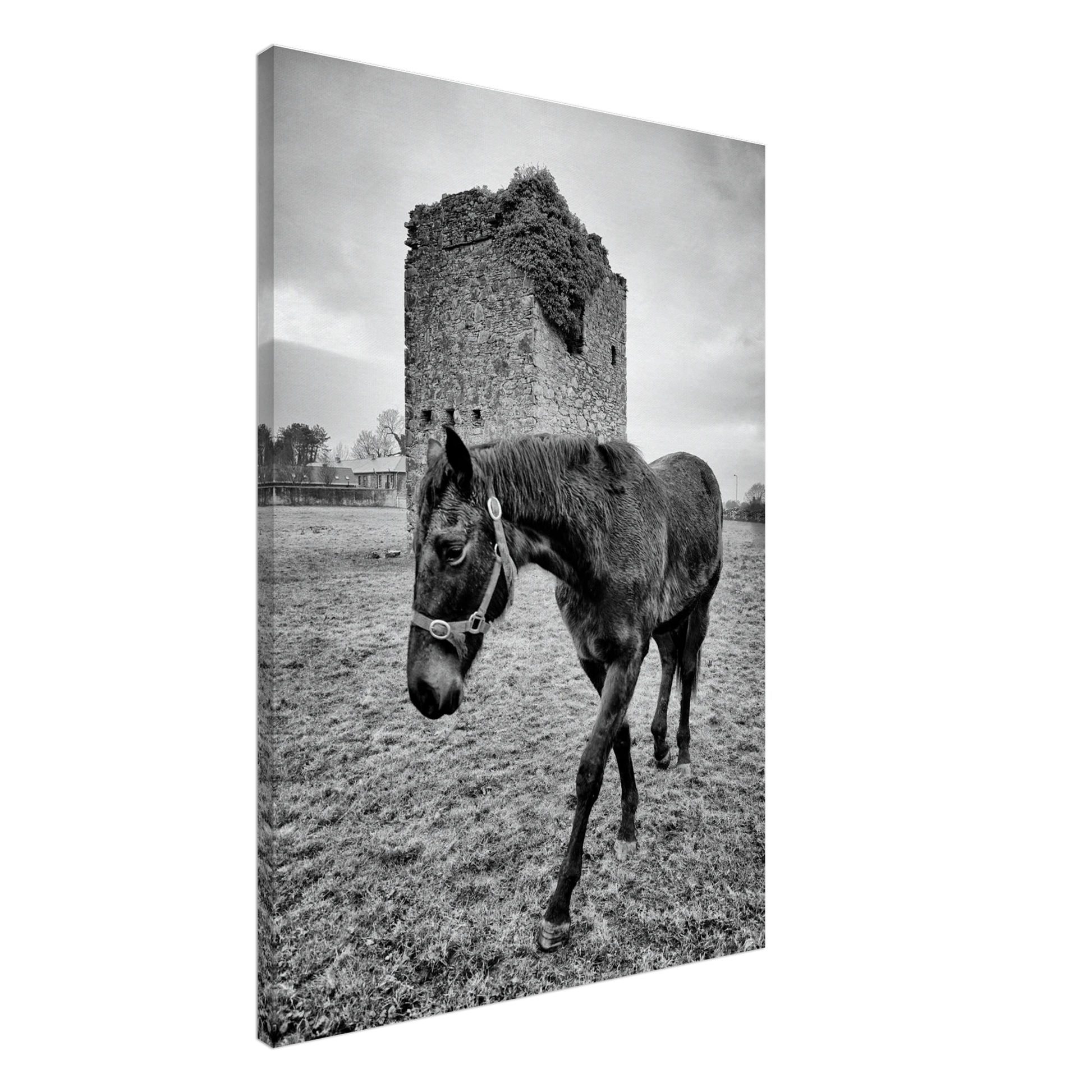 9b5085c7-e1b8-4ff9-8d5e-ac7cf4f24263