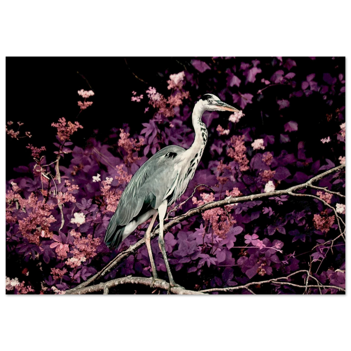 9b5f734d-bb55-494d-b08e-5c150c172943