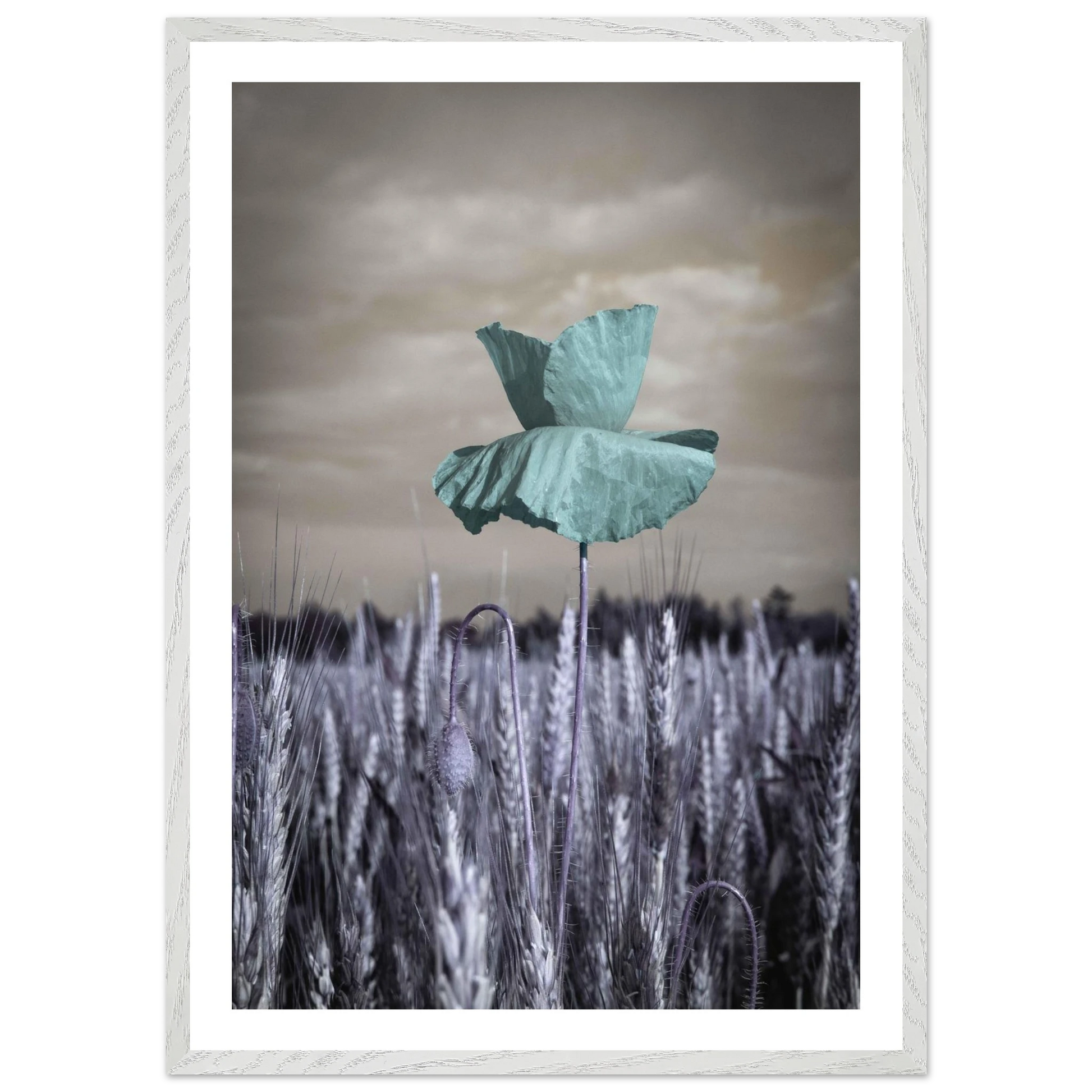 9baad6e4-eea1-42de-a378-d2ef99379c62