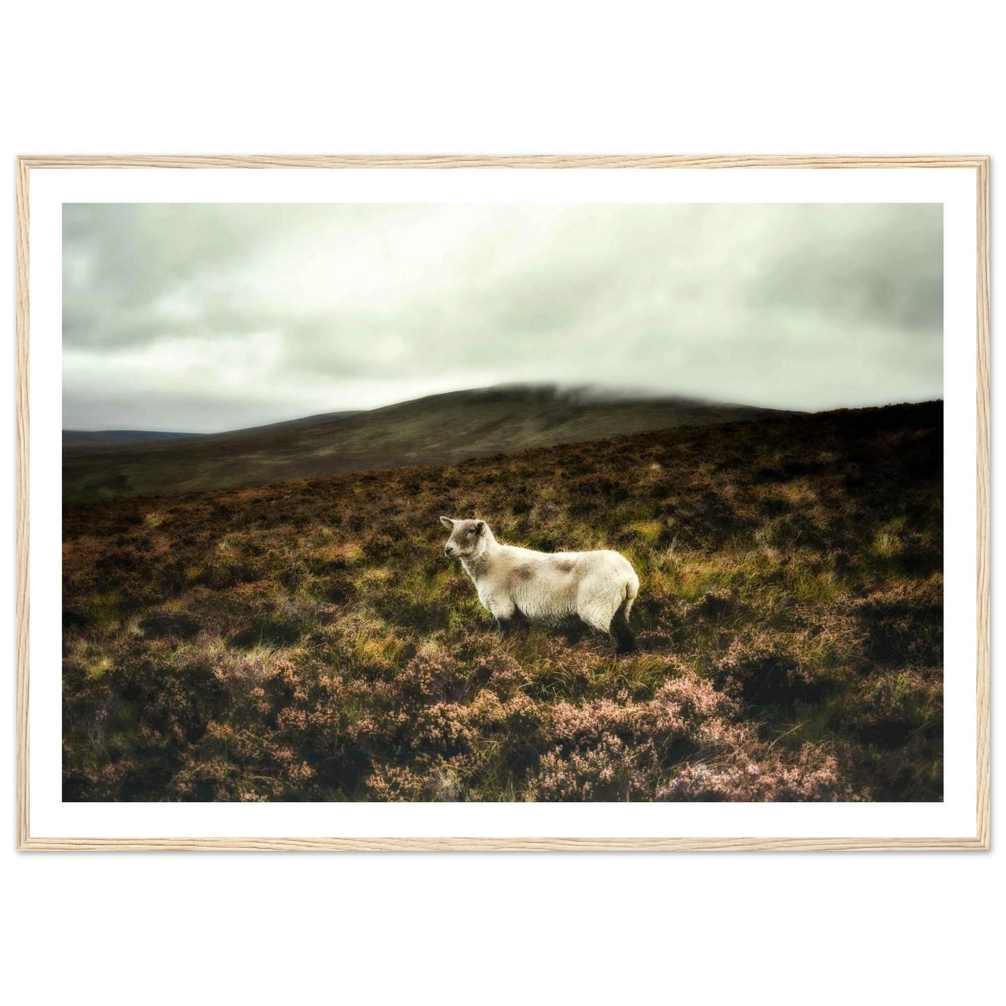 9bb1c679-68fe-466d-851c-1782e90f70d4