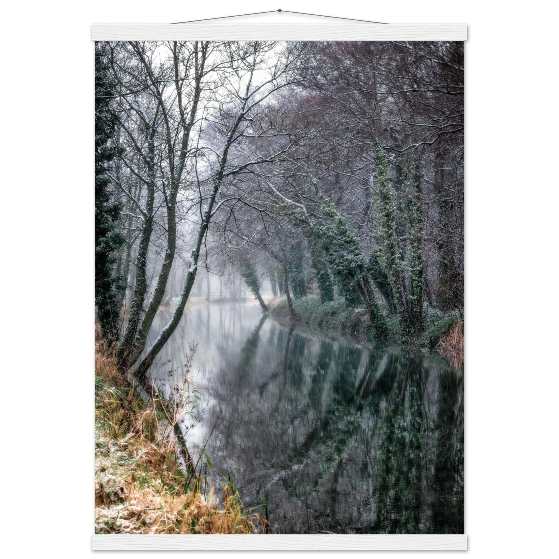 9bdd5df8-fcad-476d-ba72-f790c1cedf5a