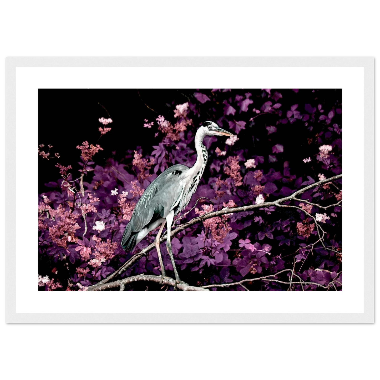 9c0aa61b-cd3b-43c1-b70c-86db9f090922