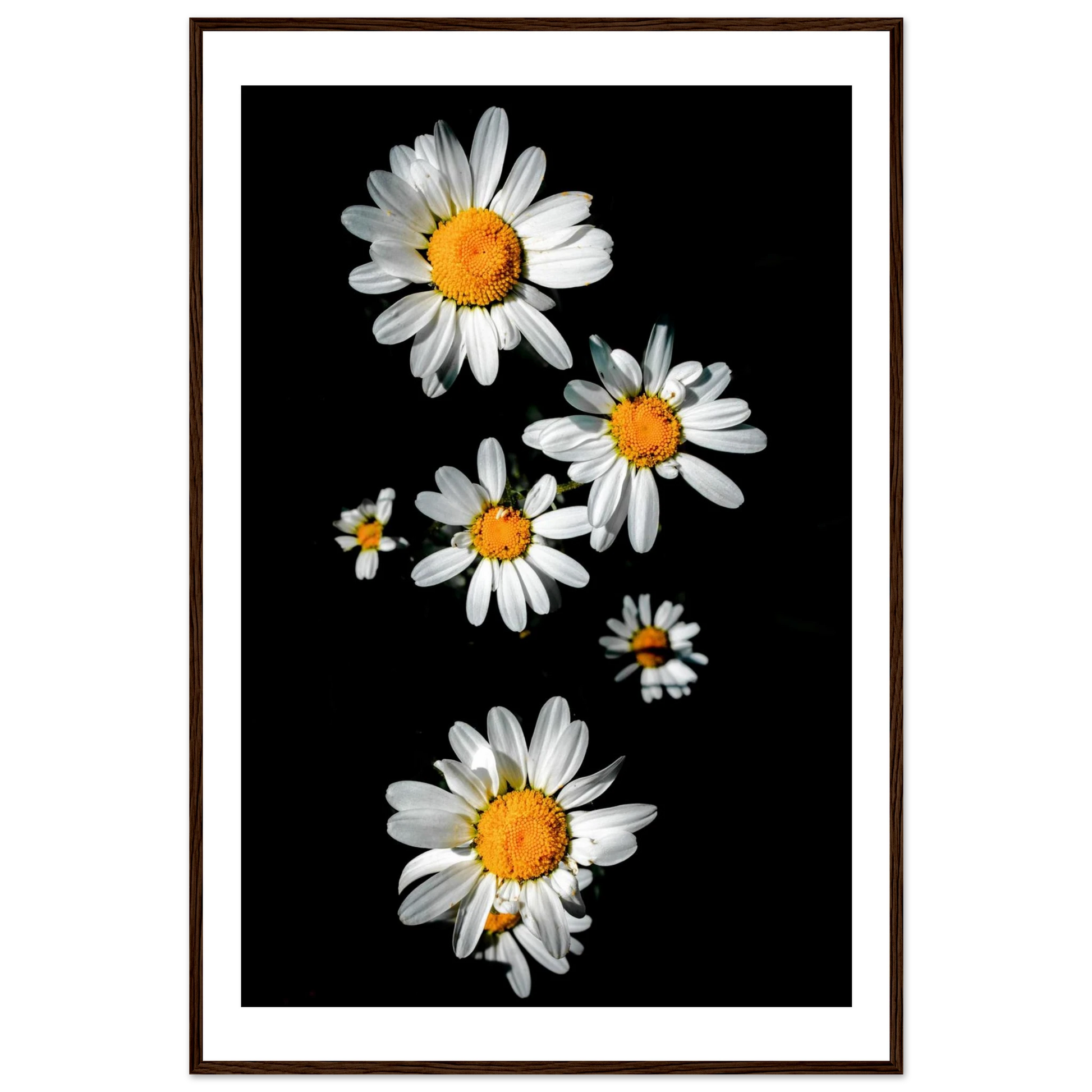 9c4df2ab-af48-42e2-ab97-2c7a86993d44