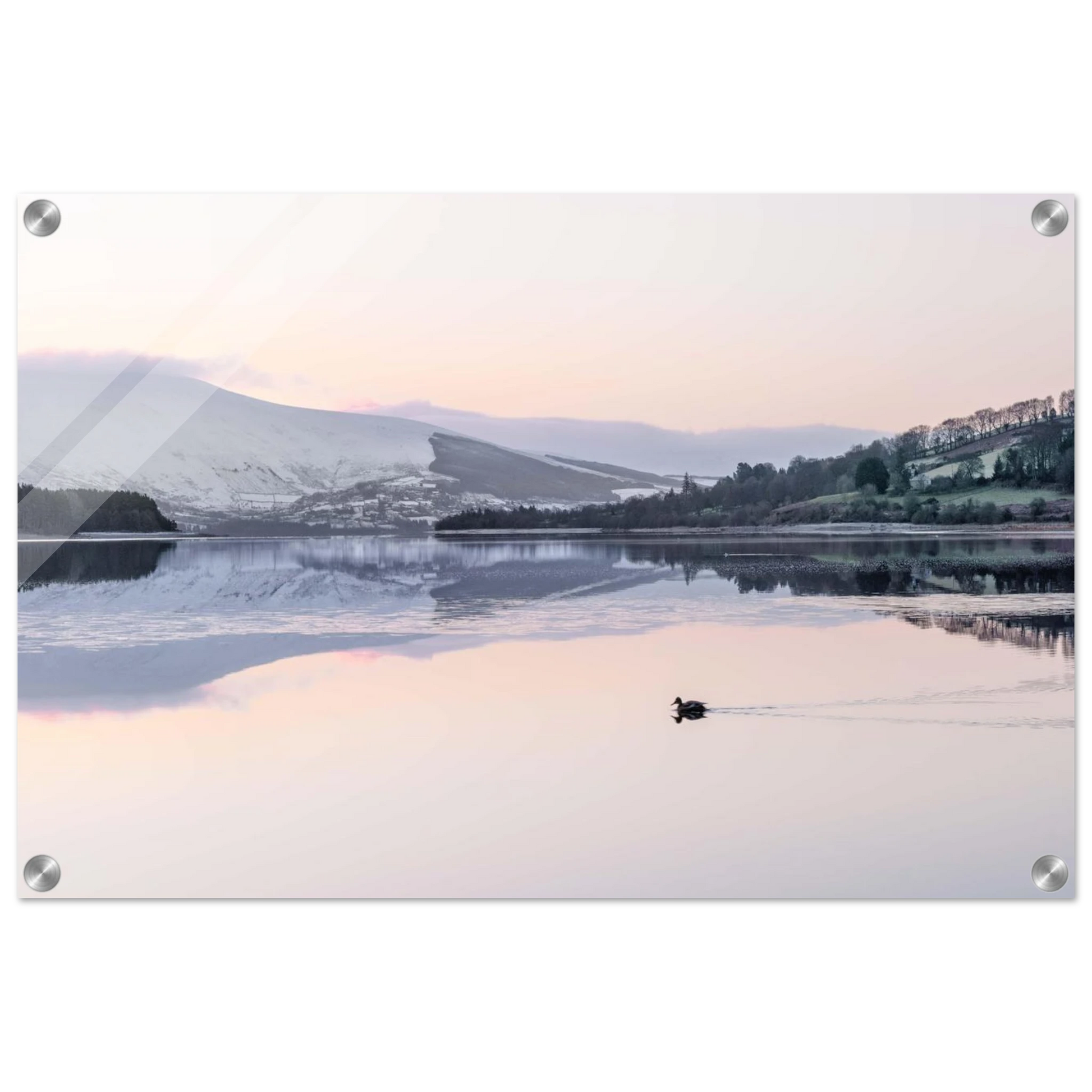 9c9cf60a-9f2e-4e2e-bbb4-8c6ae77fc3a6