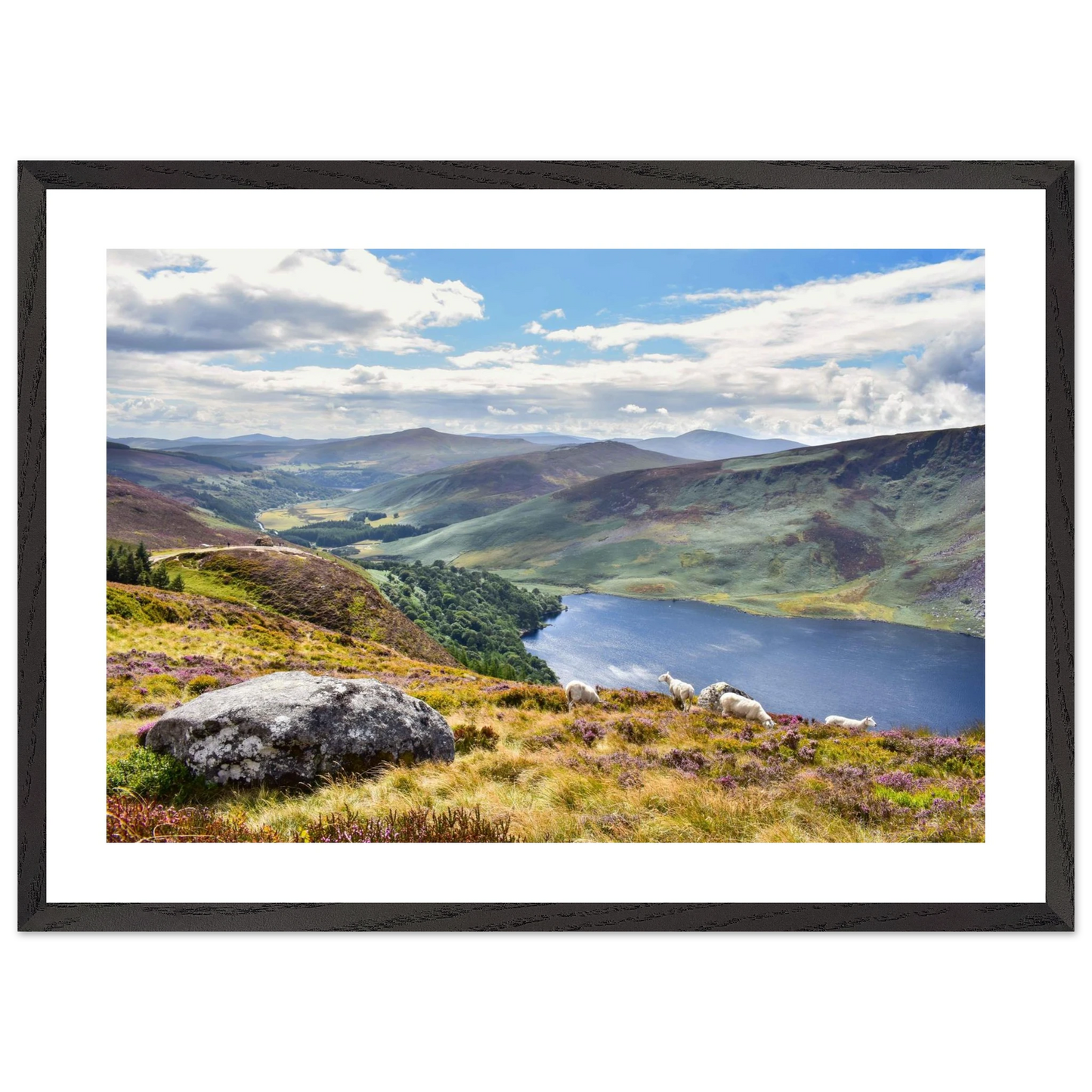 9cf8bdb0-dc89-4ade-8523-3c555fd3150f