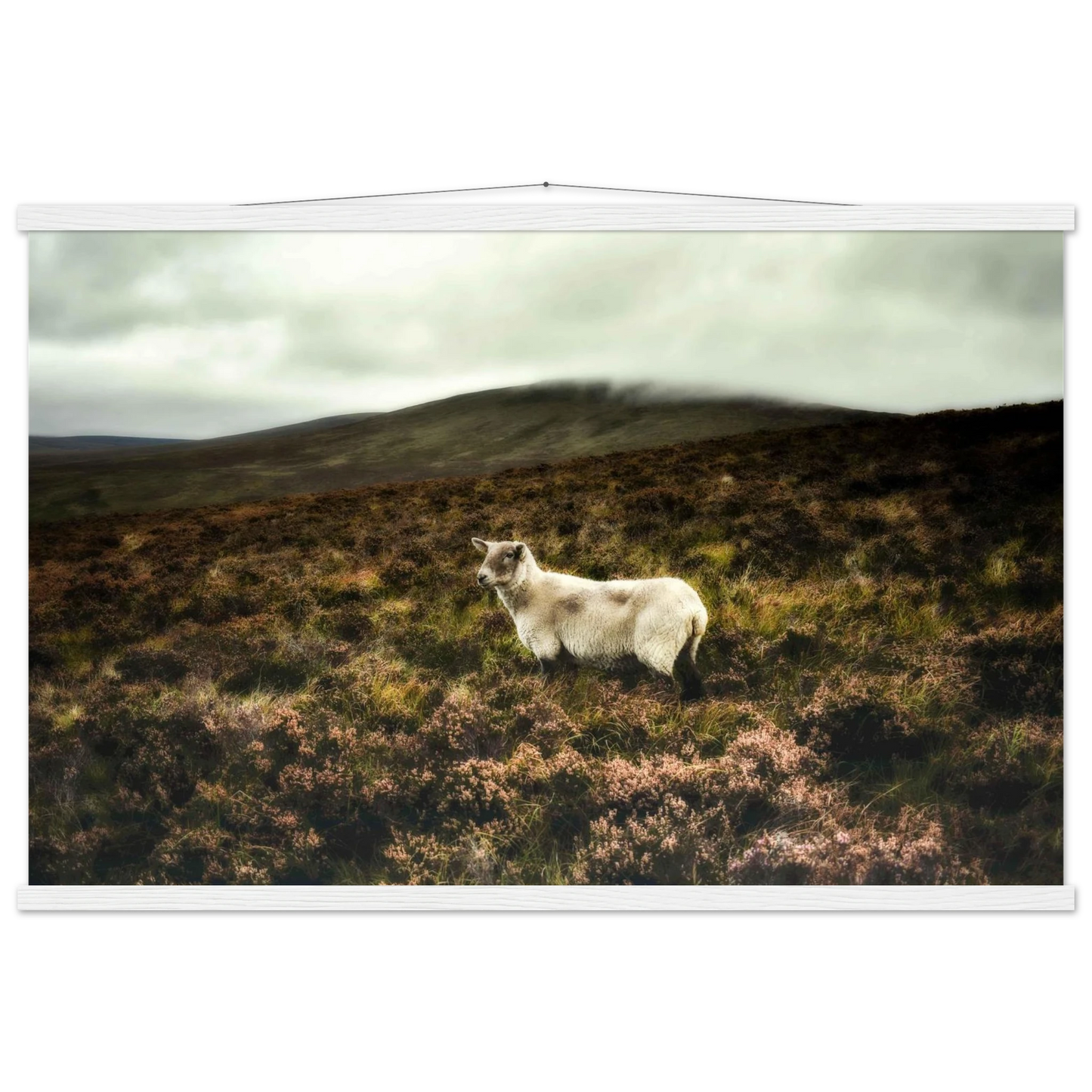 9d562ac7-570c-4e54-a4a1-76a658ee6839