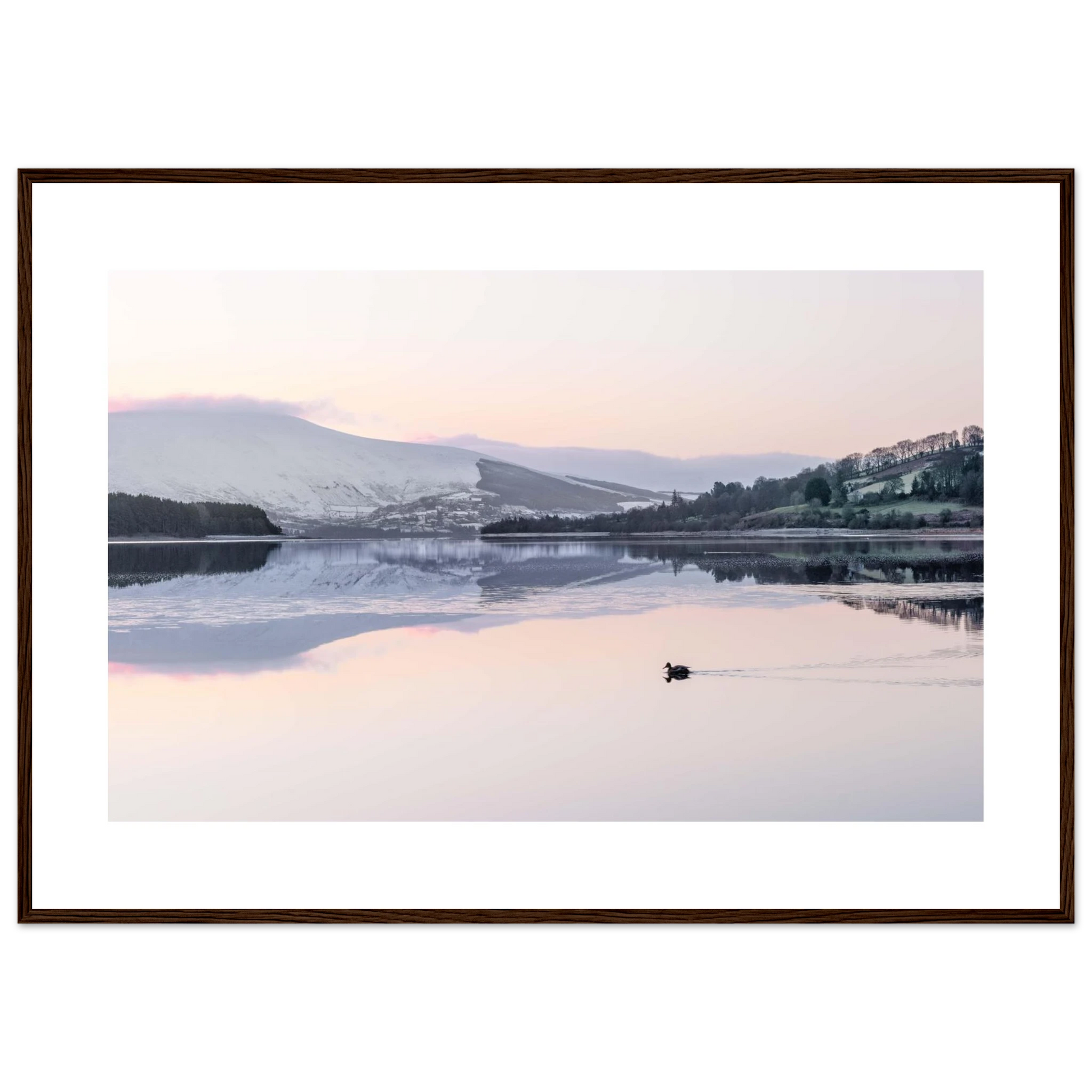 9dca0c8a-cbee-4801-b5cc-b87a57cdb5e1