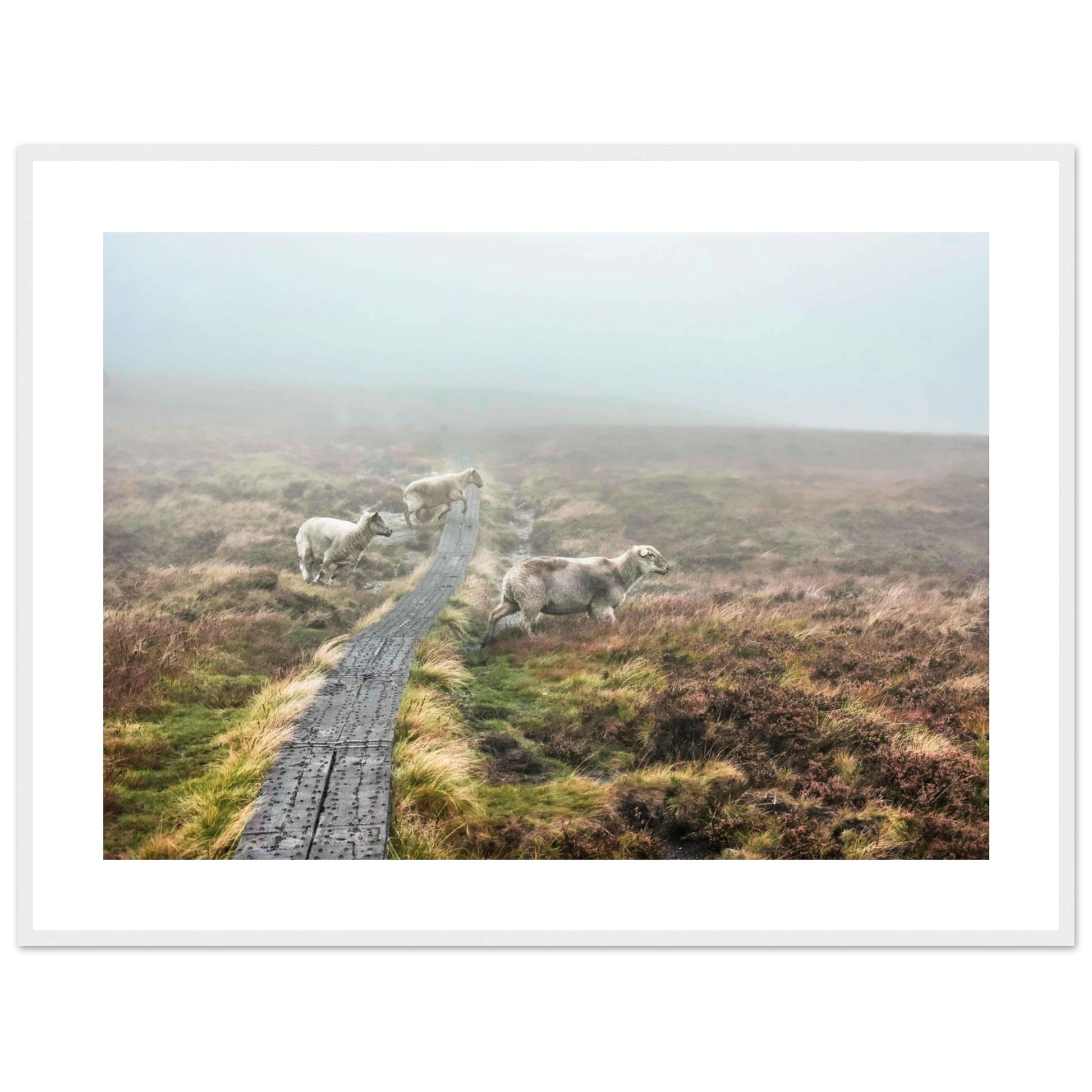 9e6b9cdd-f358-48ac-b772-55daa82894e0