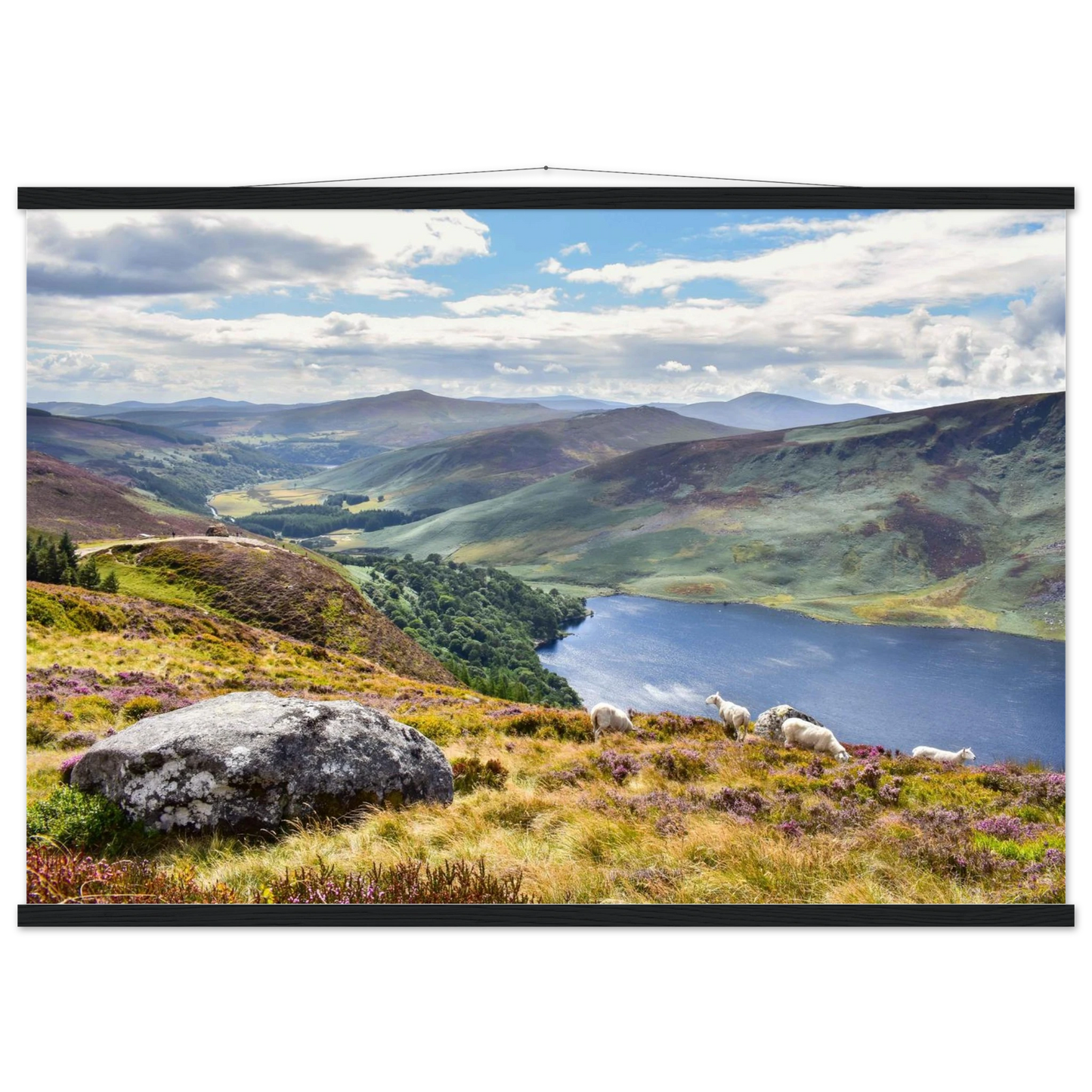 9ed9fb70-80d0-4210-94c6-bfd3f6aac4c7