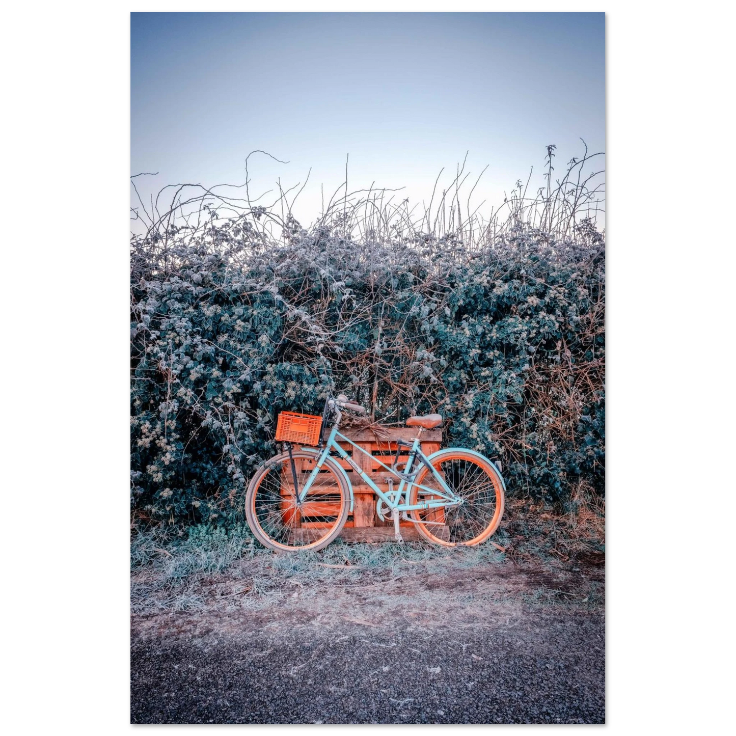 9ee260e1-fc77-46d3-b331-f8cb4e578f3a