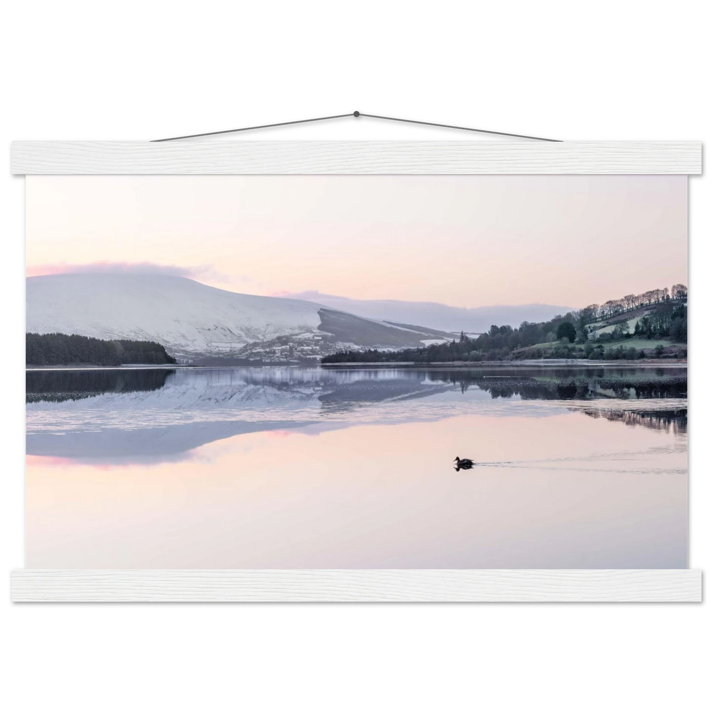 9f09e676-8a43-4320-bc57-74740d21ffe4