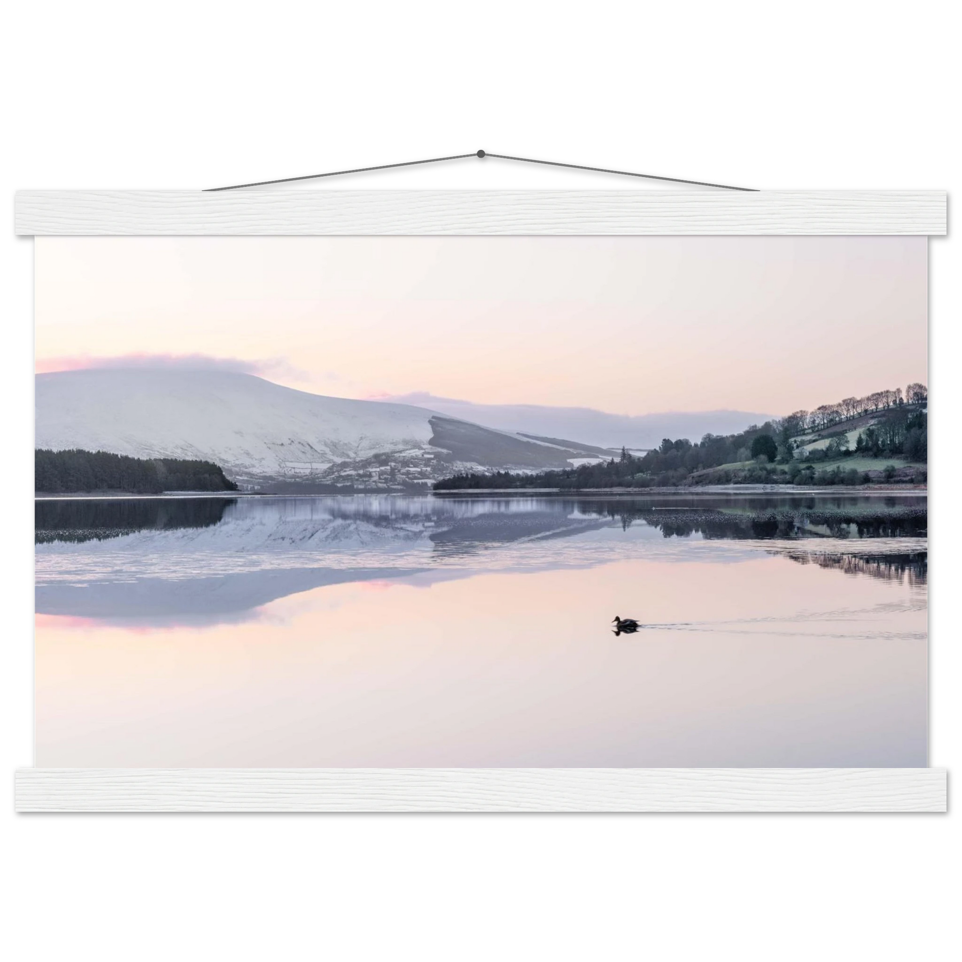 9f09e676-8a43-4320-bc57-74740d21ffe4