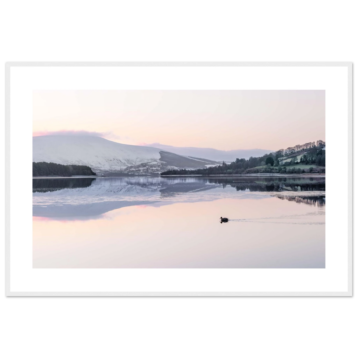 9f557d37-6442-4534-8c0d-638a79f734e7