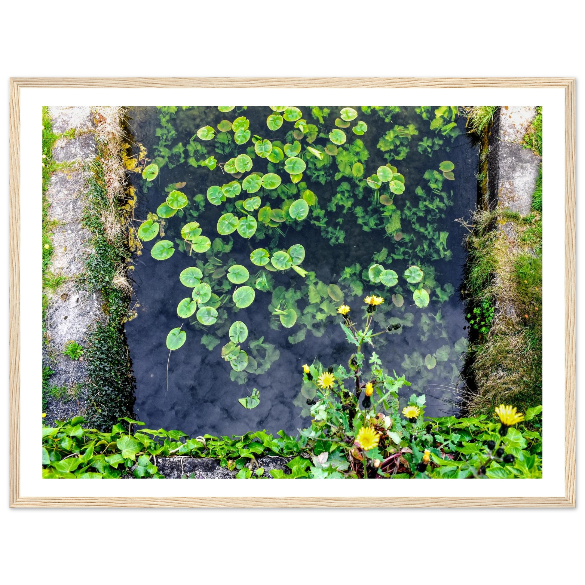 9fa295c5-db78-4428-aa48-f0ec00eb0ed7