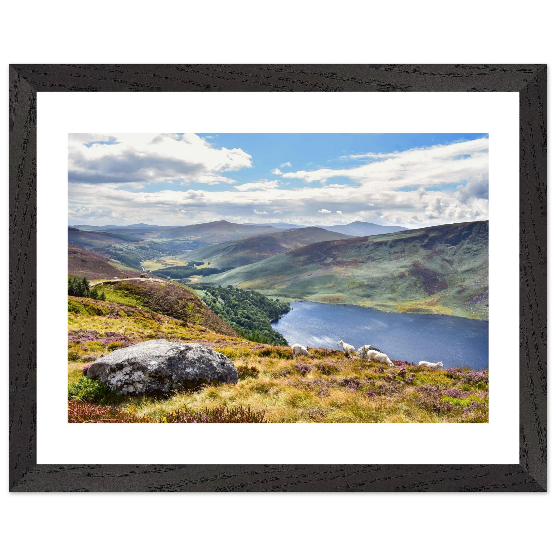 9fc38fda-3557-4398-a380-085ba3d8ede2