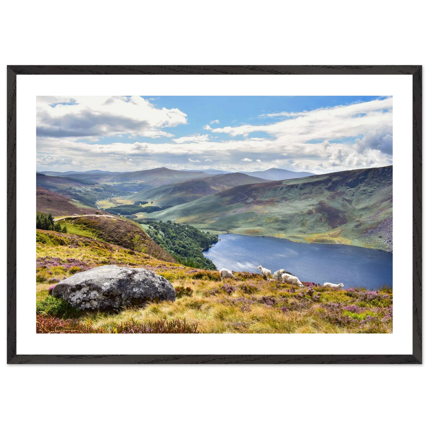 9fd75a6c-4336-4ec8-9d93-d928b42ef60a