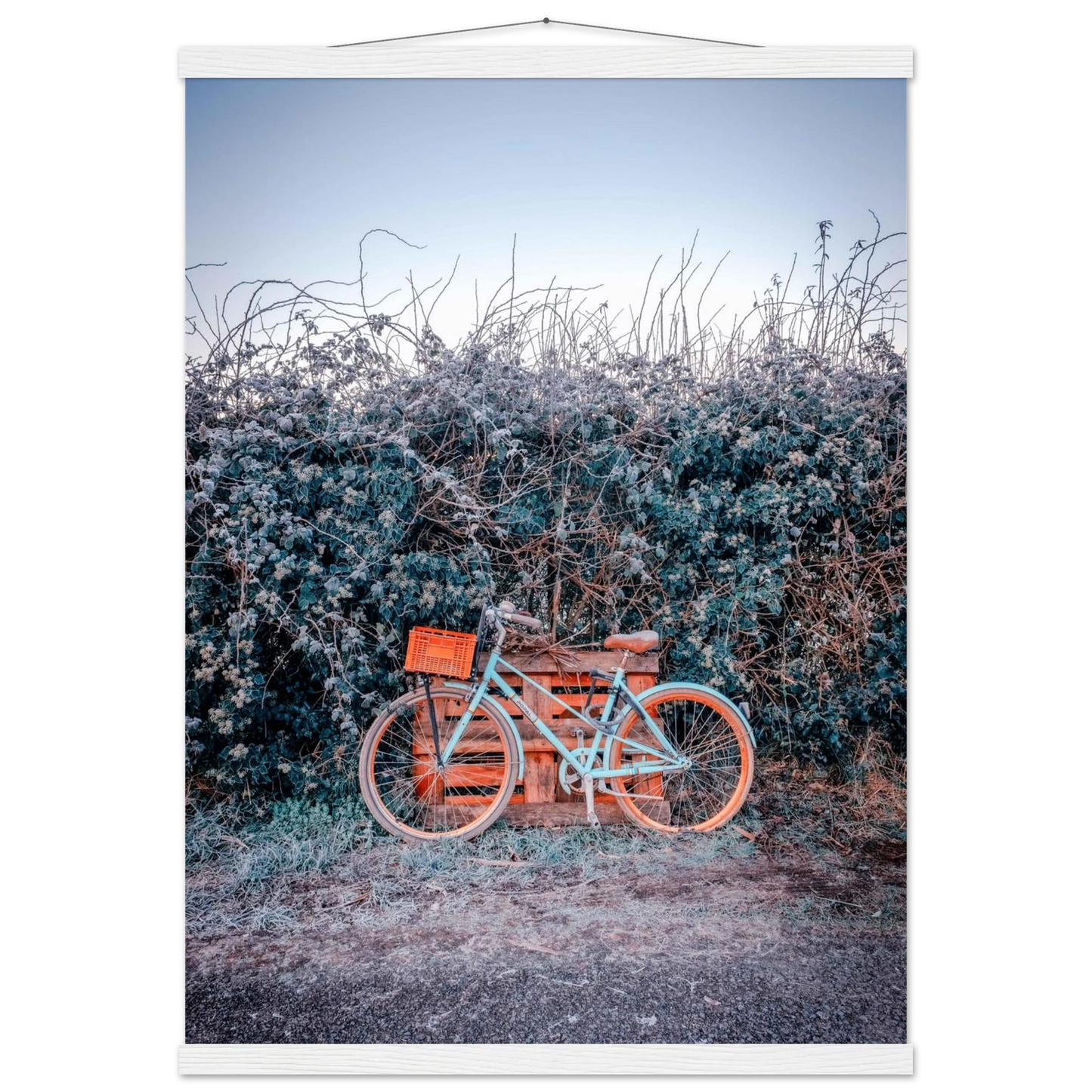 a00046df-0457-4b43-9e9d-1539ce6a5363