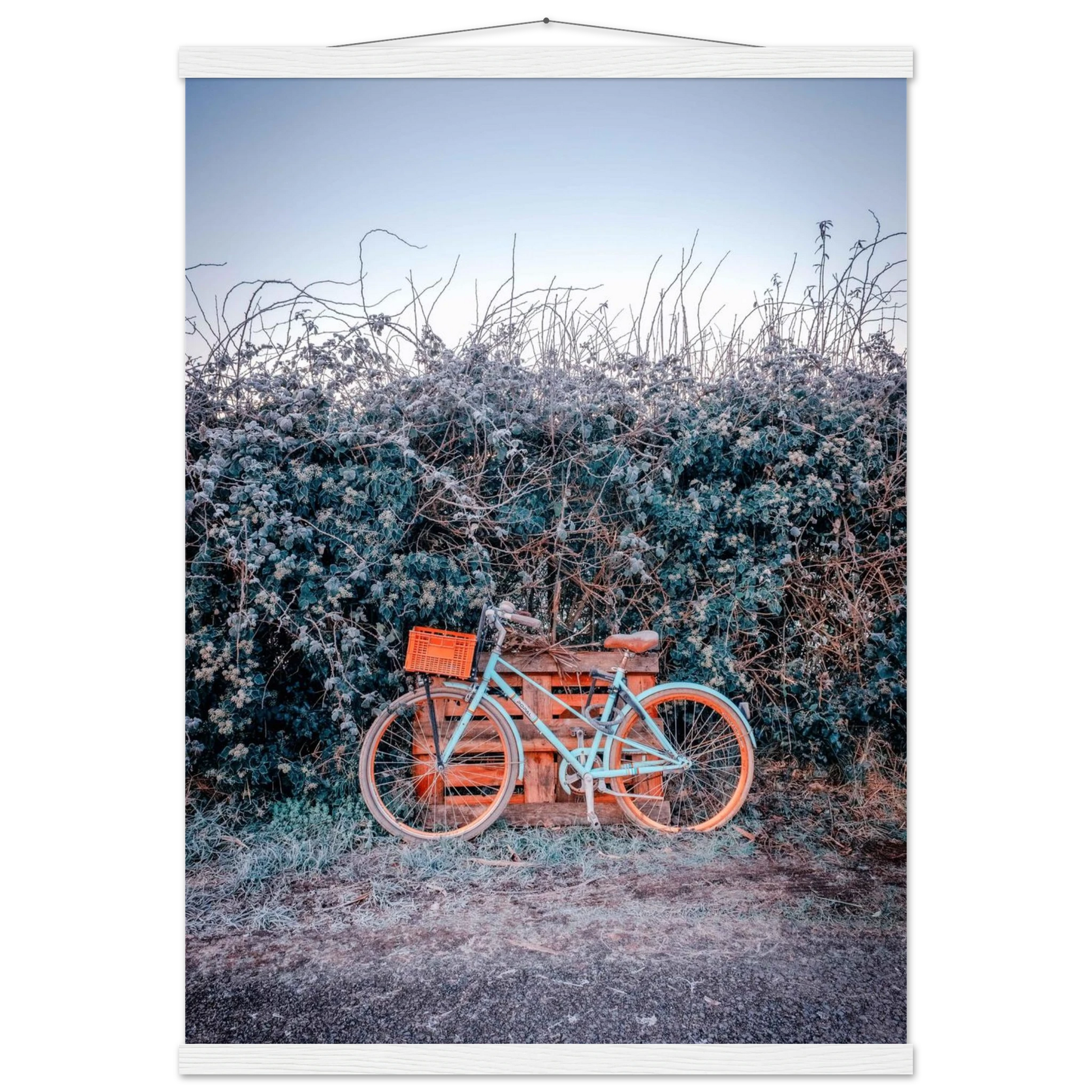 a00046df-0457-4b43-9e9d-1539ce6a5363