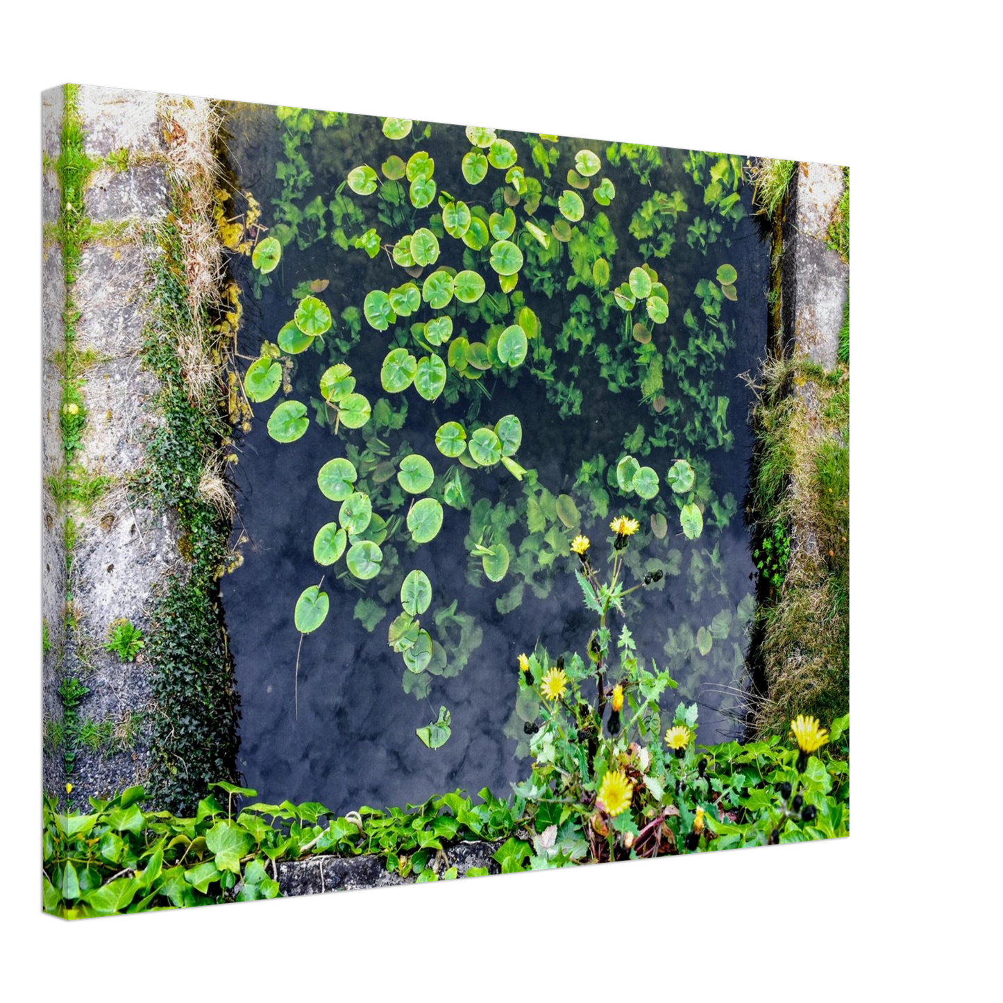 a05ebc14-3aaf-4126-a80a-d5fb74563956