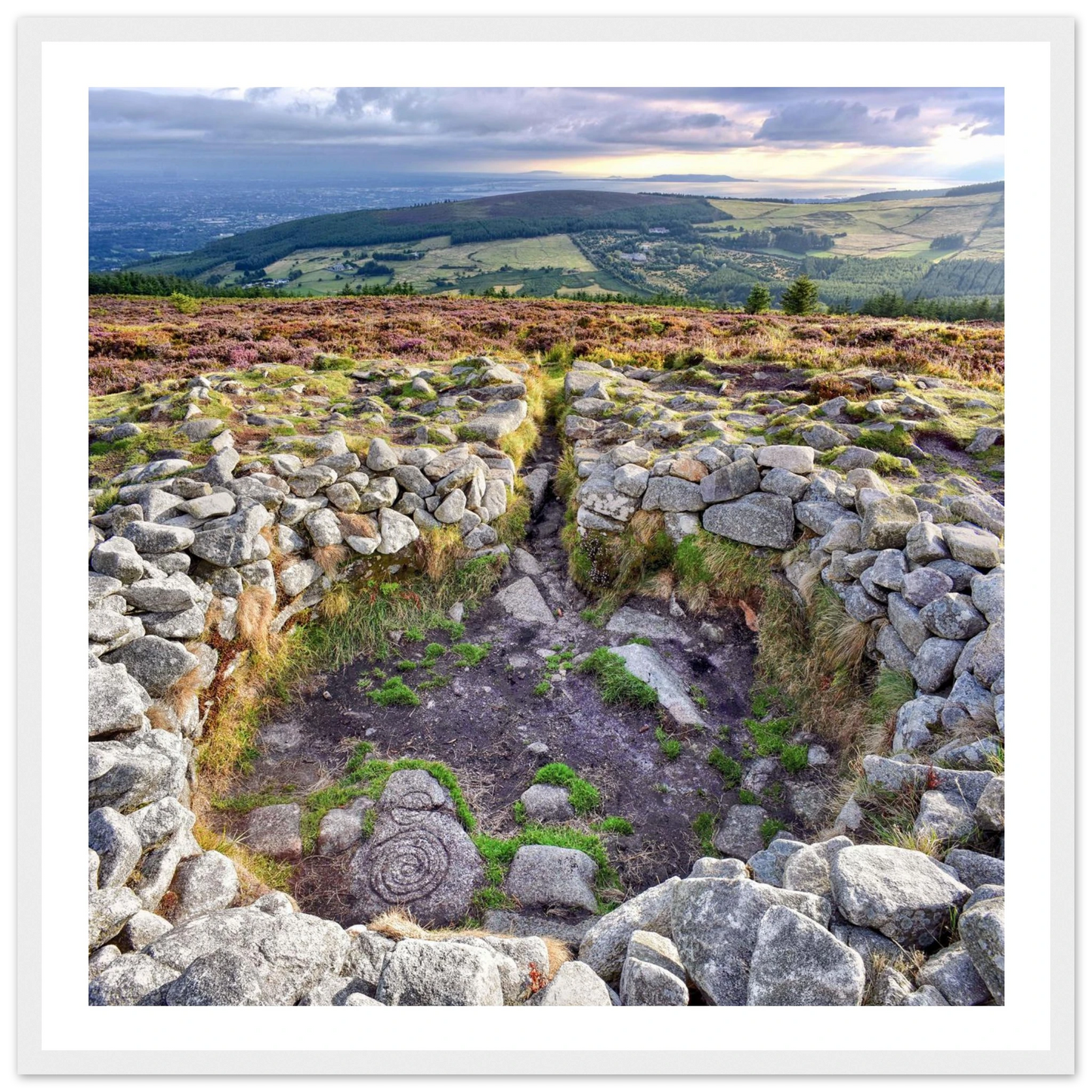 a070fad2-4b0c-47ab-8cc4-dacfea31c342