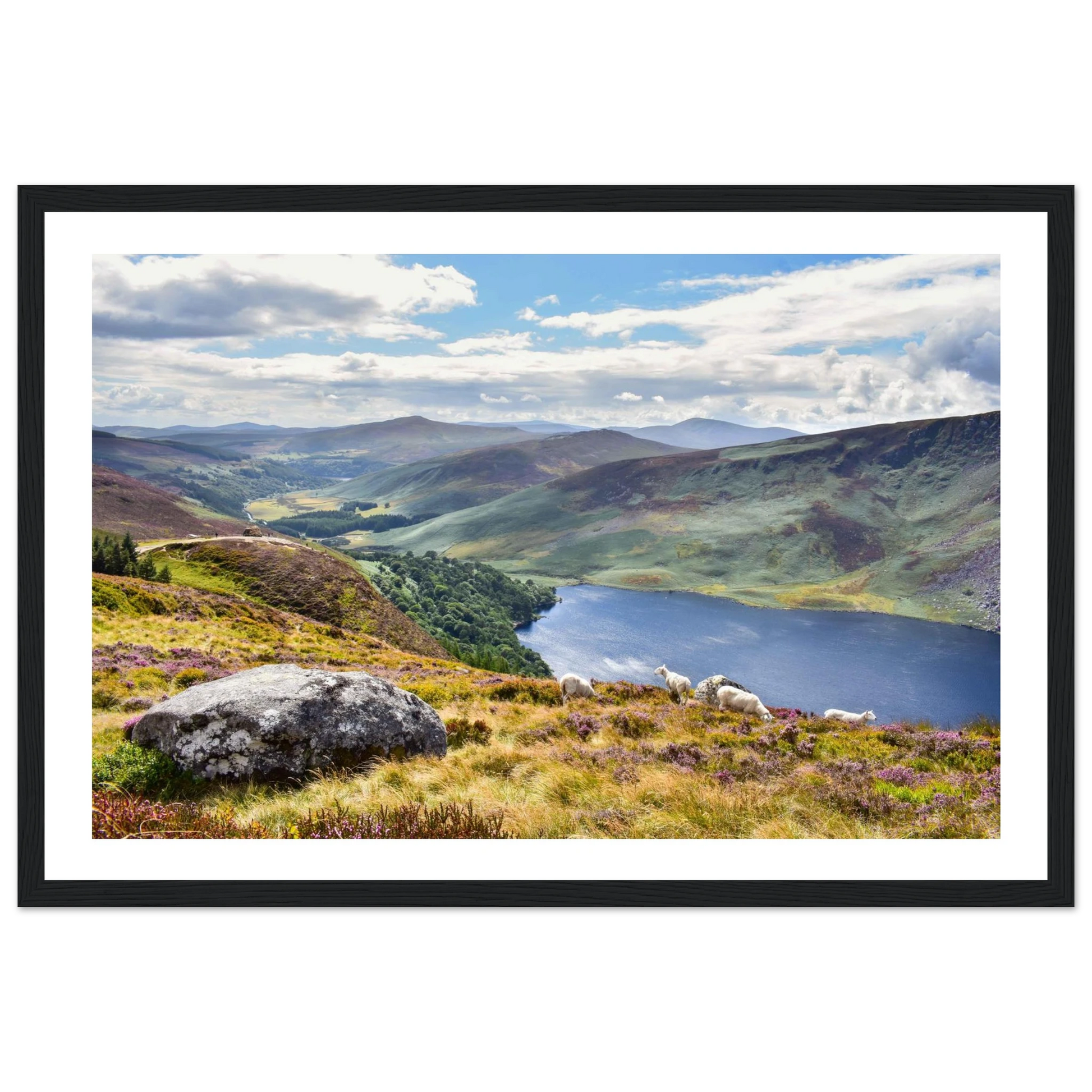 a0a51b35-234d-488d-93a1-59ccd0b65f80