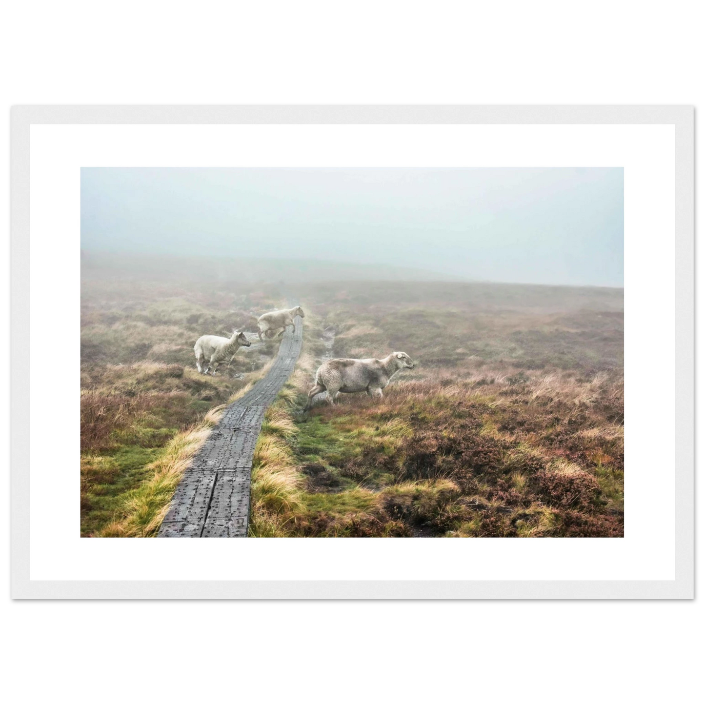 a0a794bd-3e09-4374-b40c-69ee84974e75