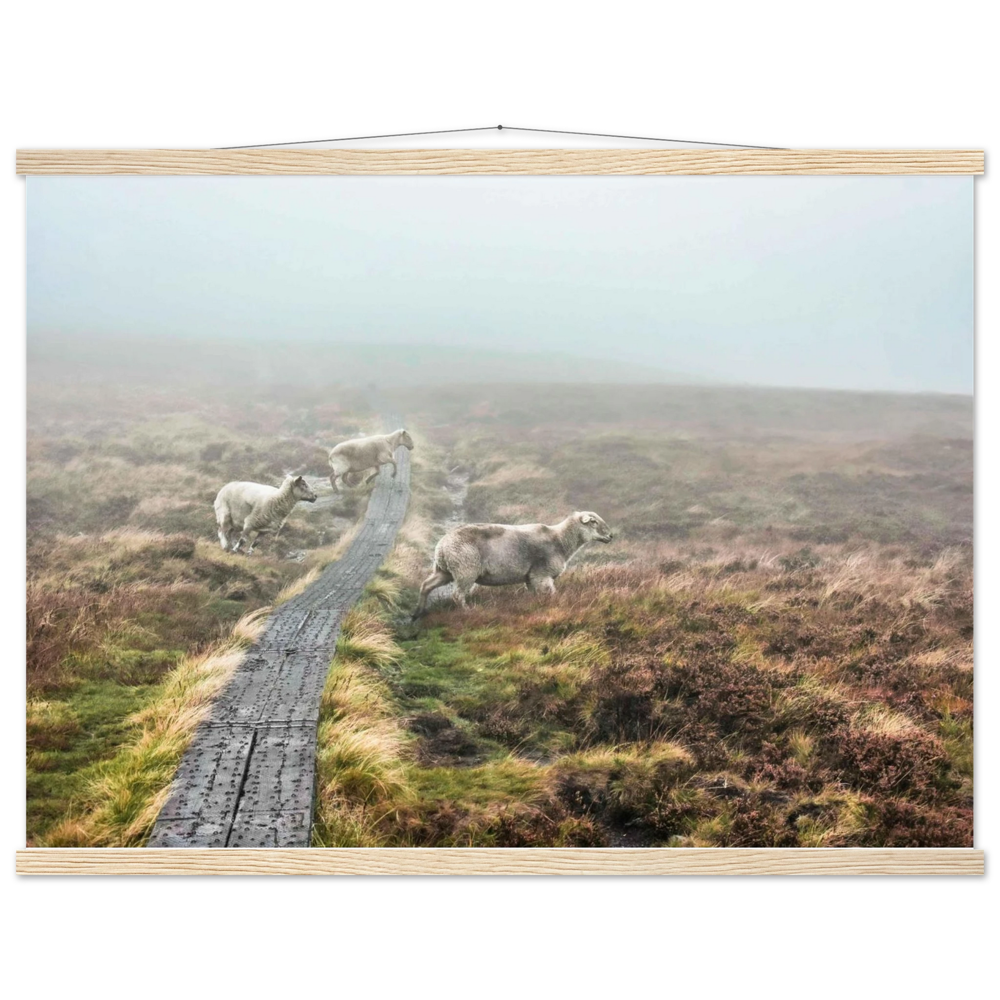 a0c7e239-eb55-4dba-ac6a-9afee163979b