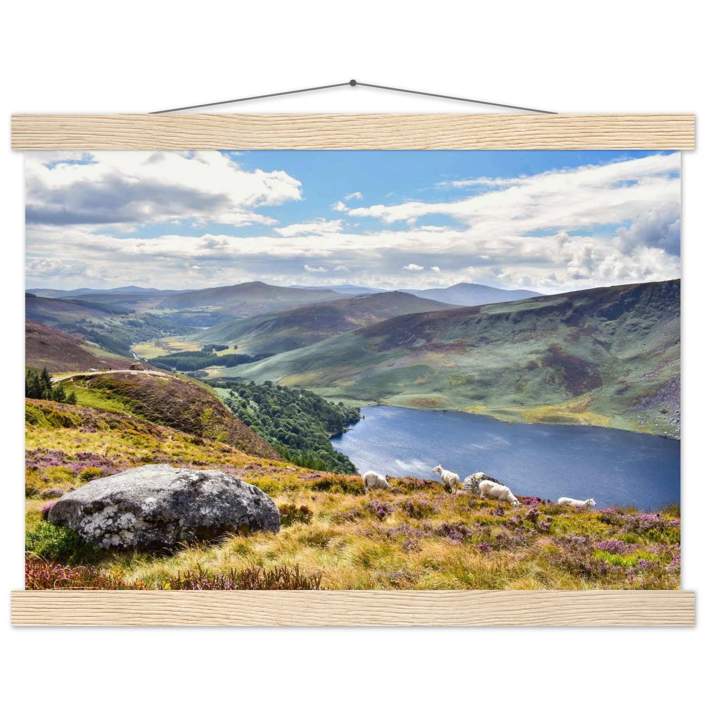 a0e70926-5747-485d-a826-ffdd8e26c741