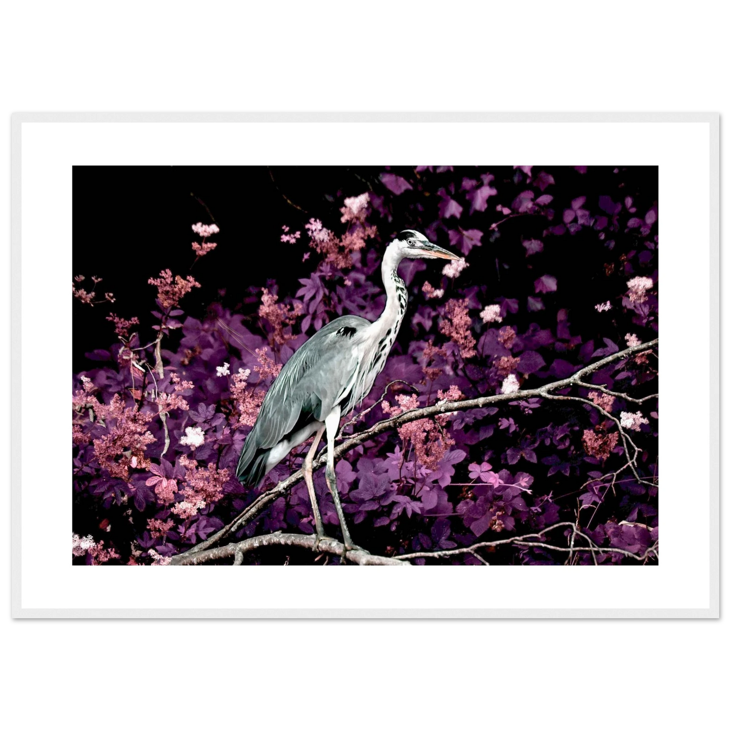 a0efb326-a4b9-479b-a0e1-474877be6c4a